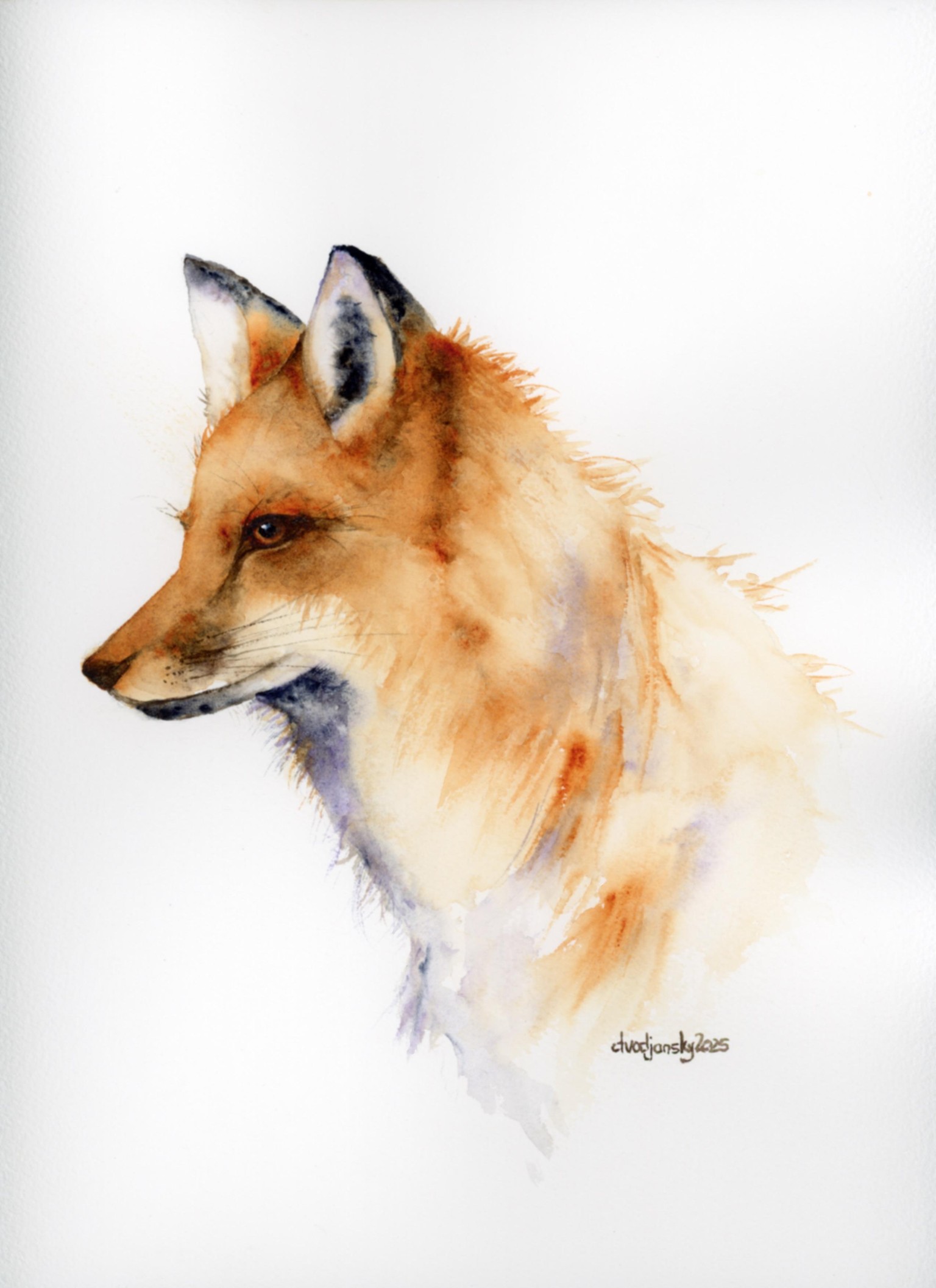 Mr Fox - image 1 - student project