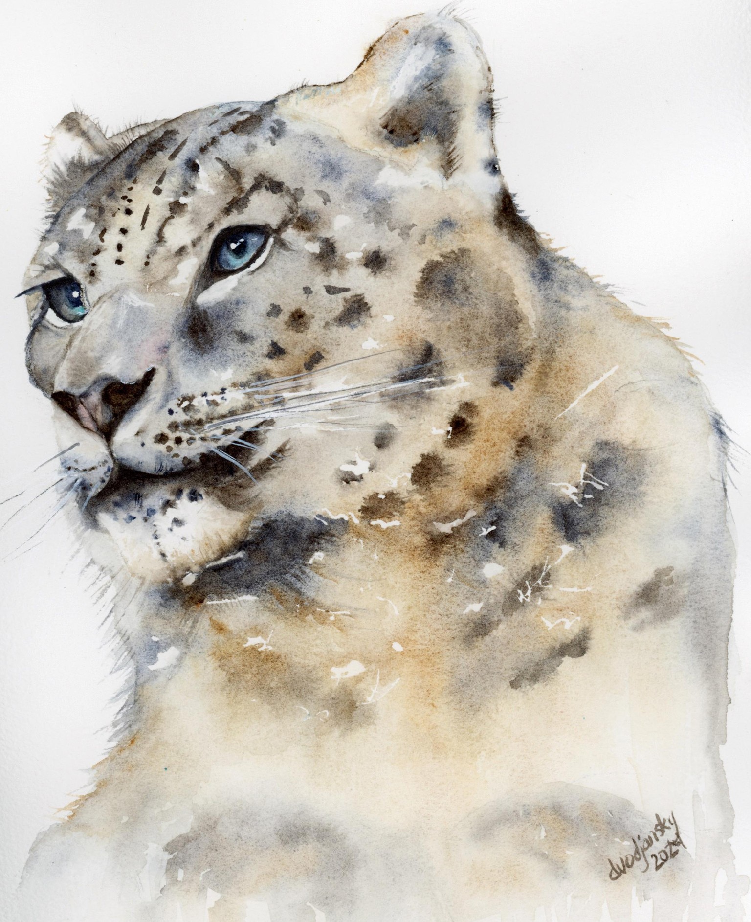 Snow Leopard - image 1 - student project