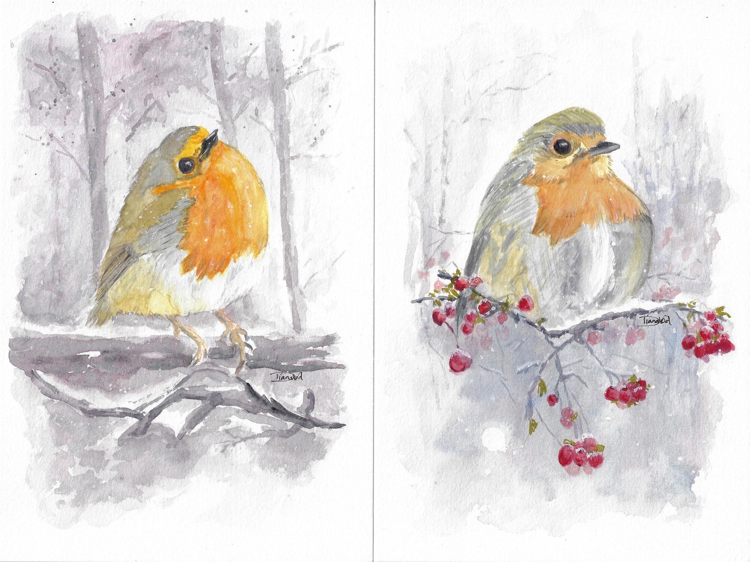 A Robin's Respite: A Wintery Oasis of Comfort, Food and Sleep - image 2 - student project