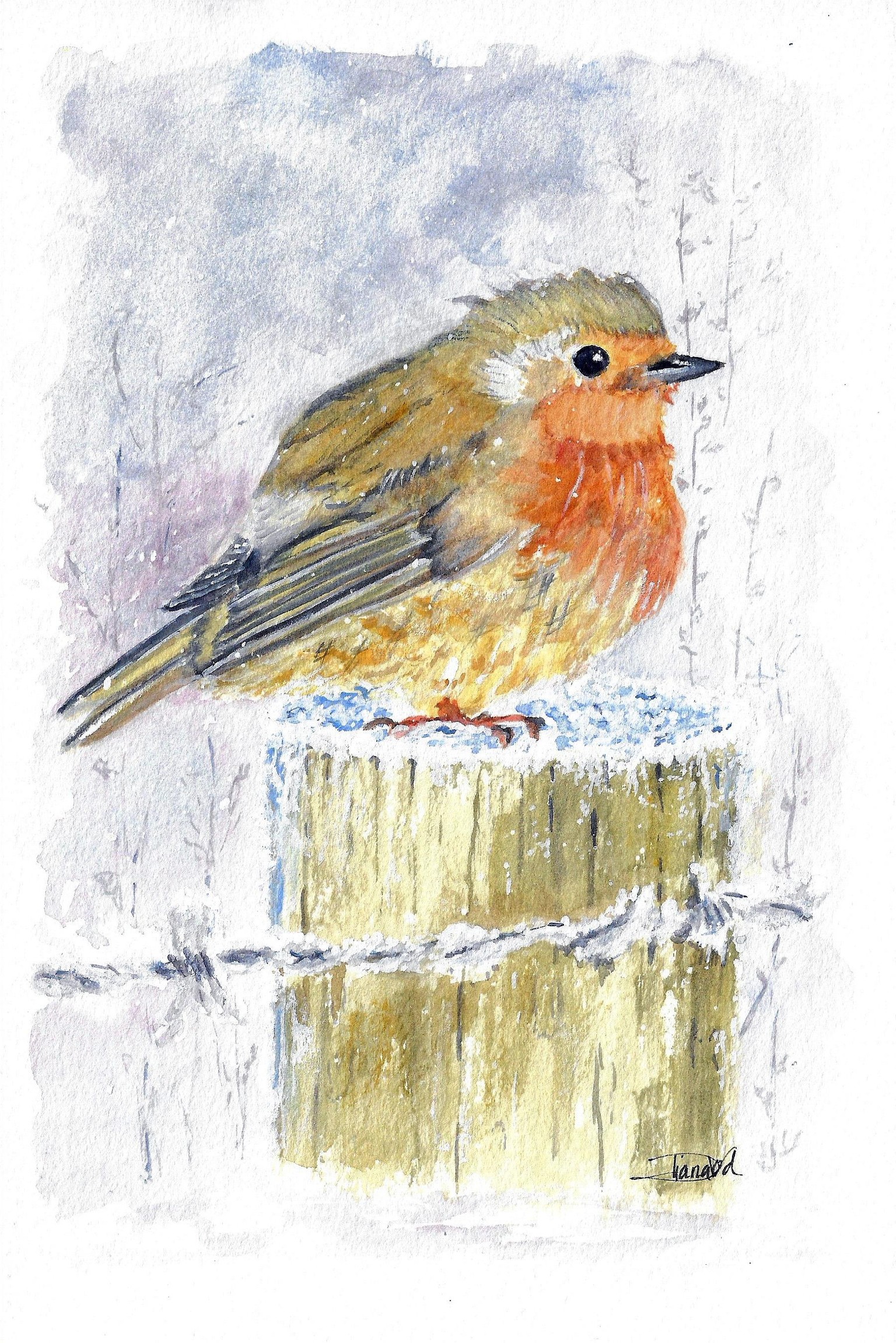 A Robin's Respite: A Wintery Oasis of Comfort, Food and Sleep - image 1 - student project