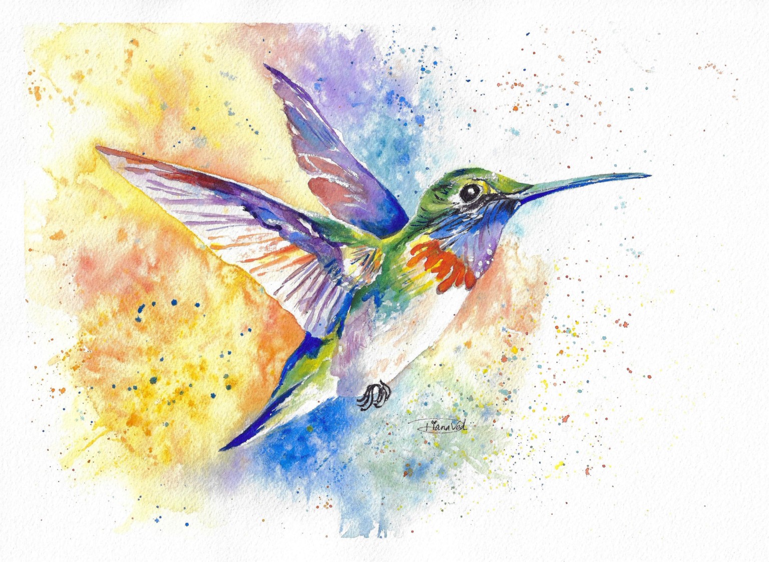 Colorful Hummingbird - image 1 - student project