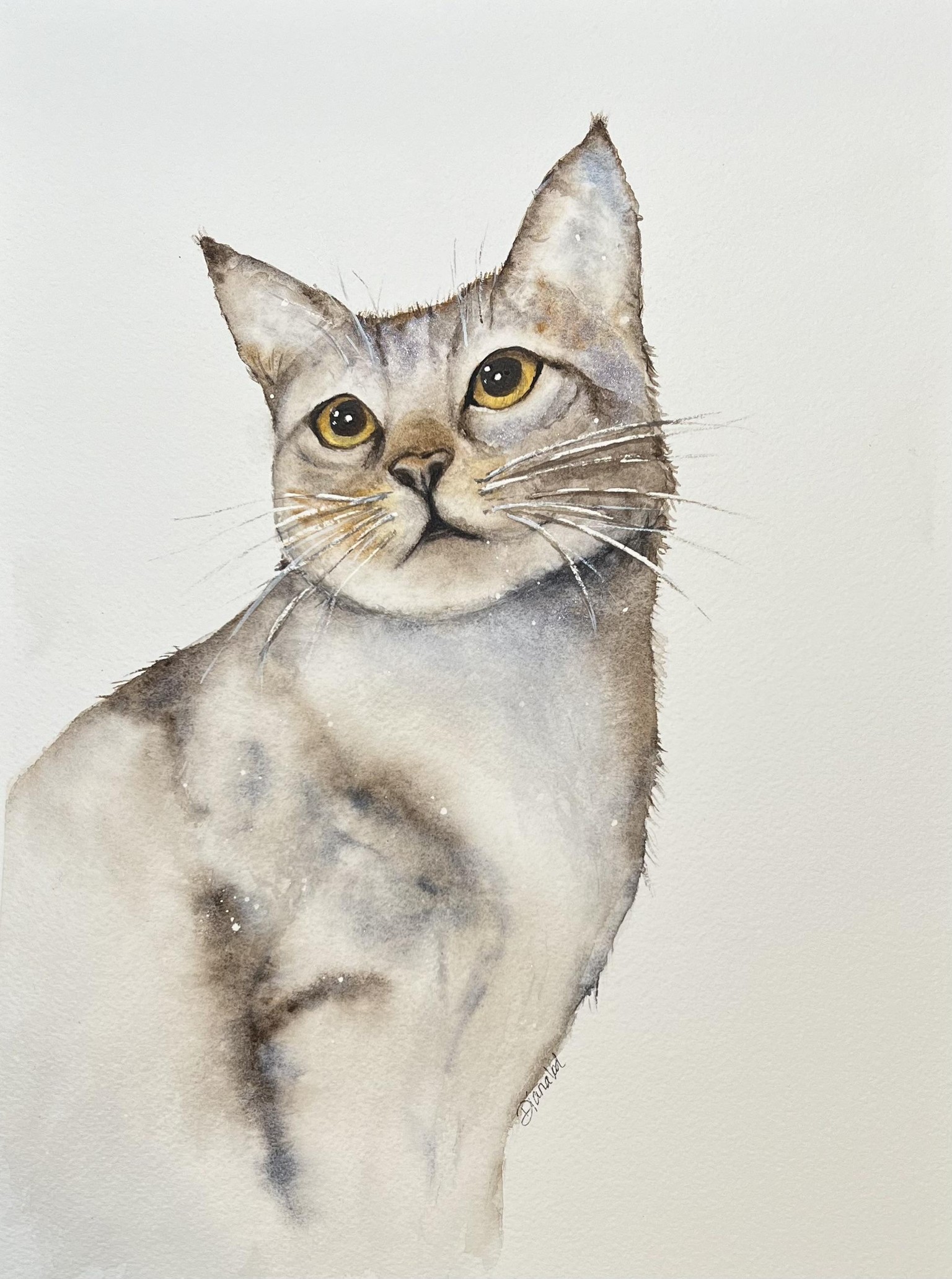Updated Tabby Cat - image 2 - student project