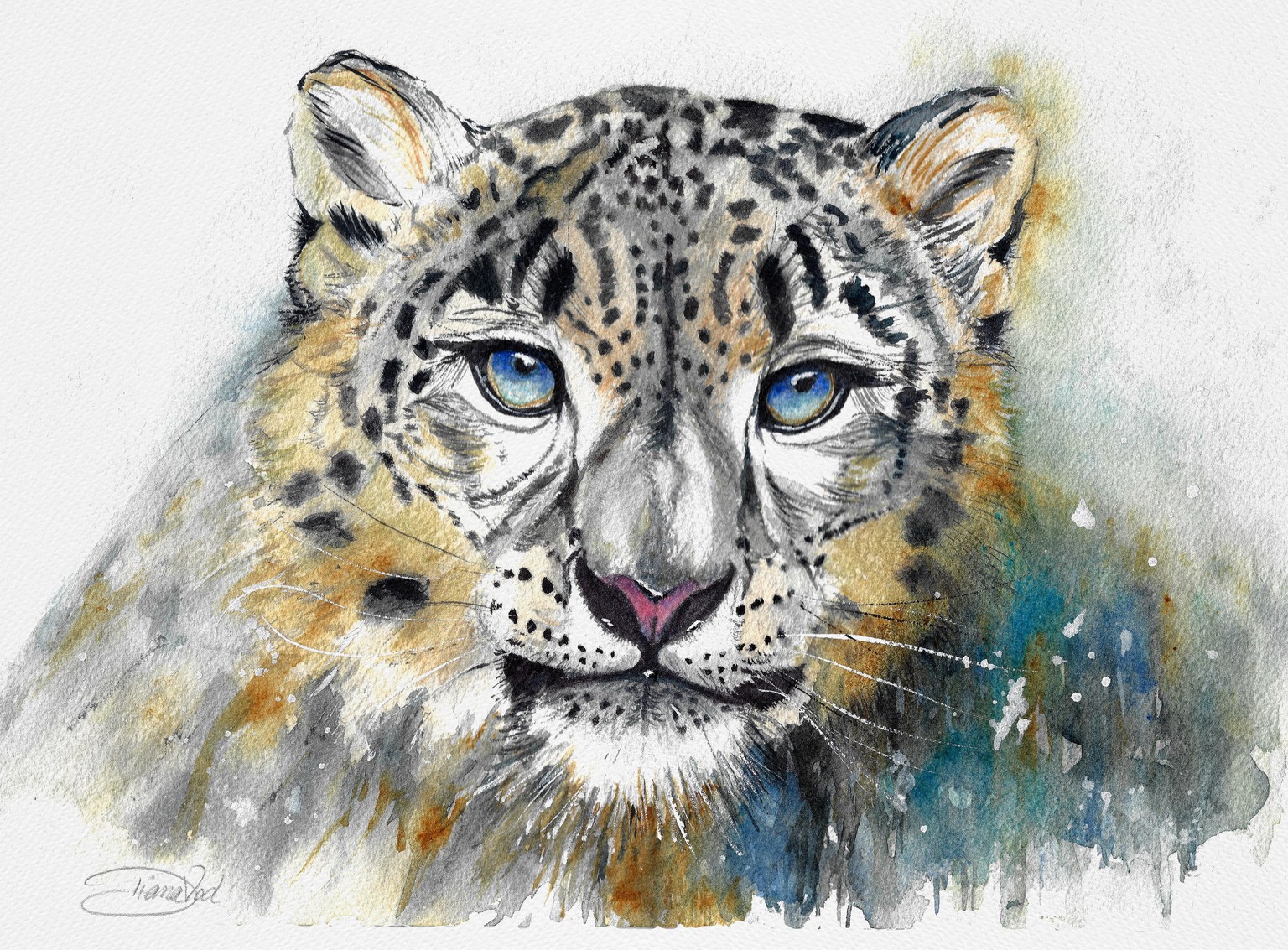 Snow Leopard - image 1 - student project
