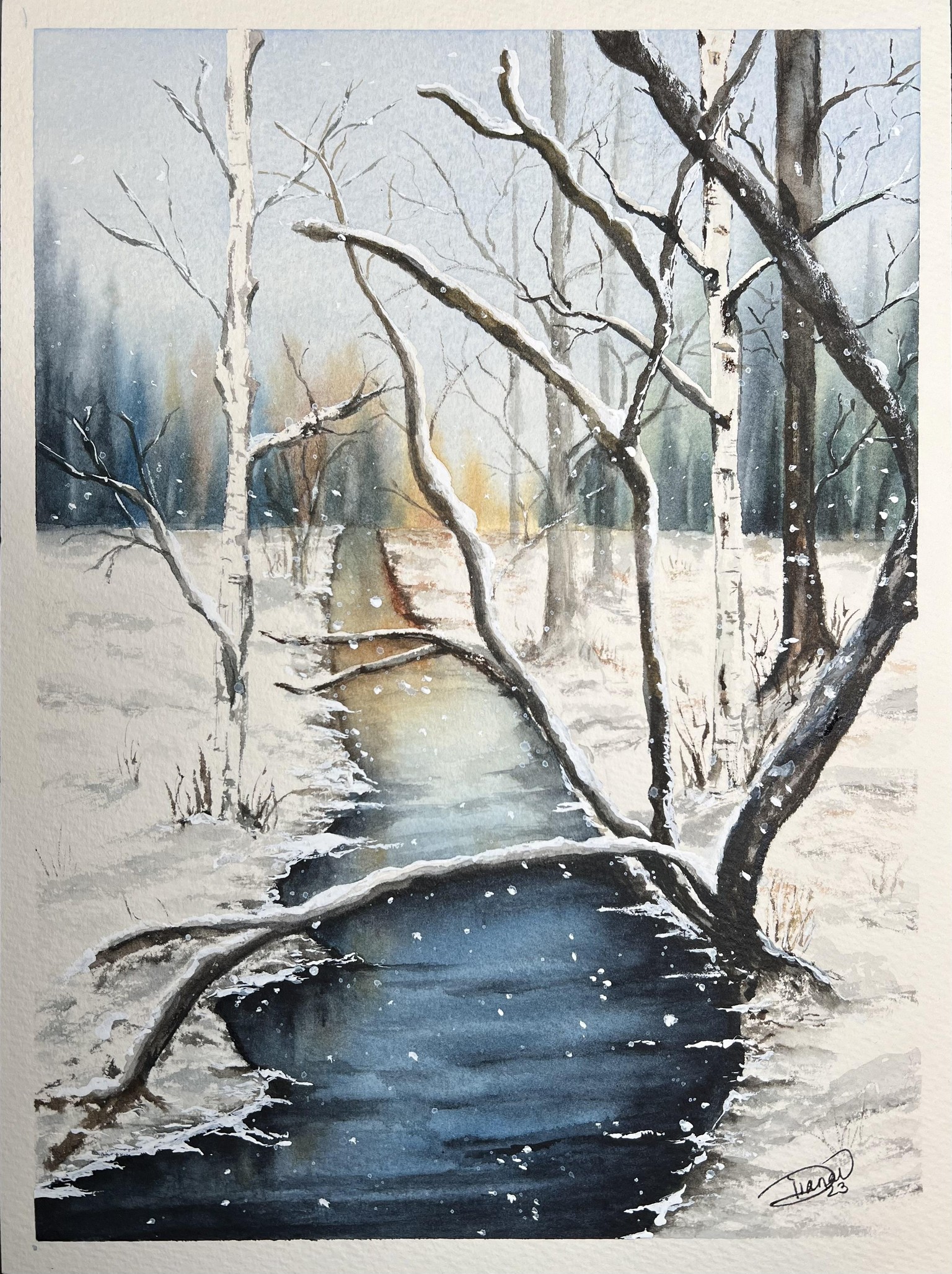 Updated Fall & Winter Landscape - image 1 - student project