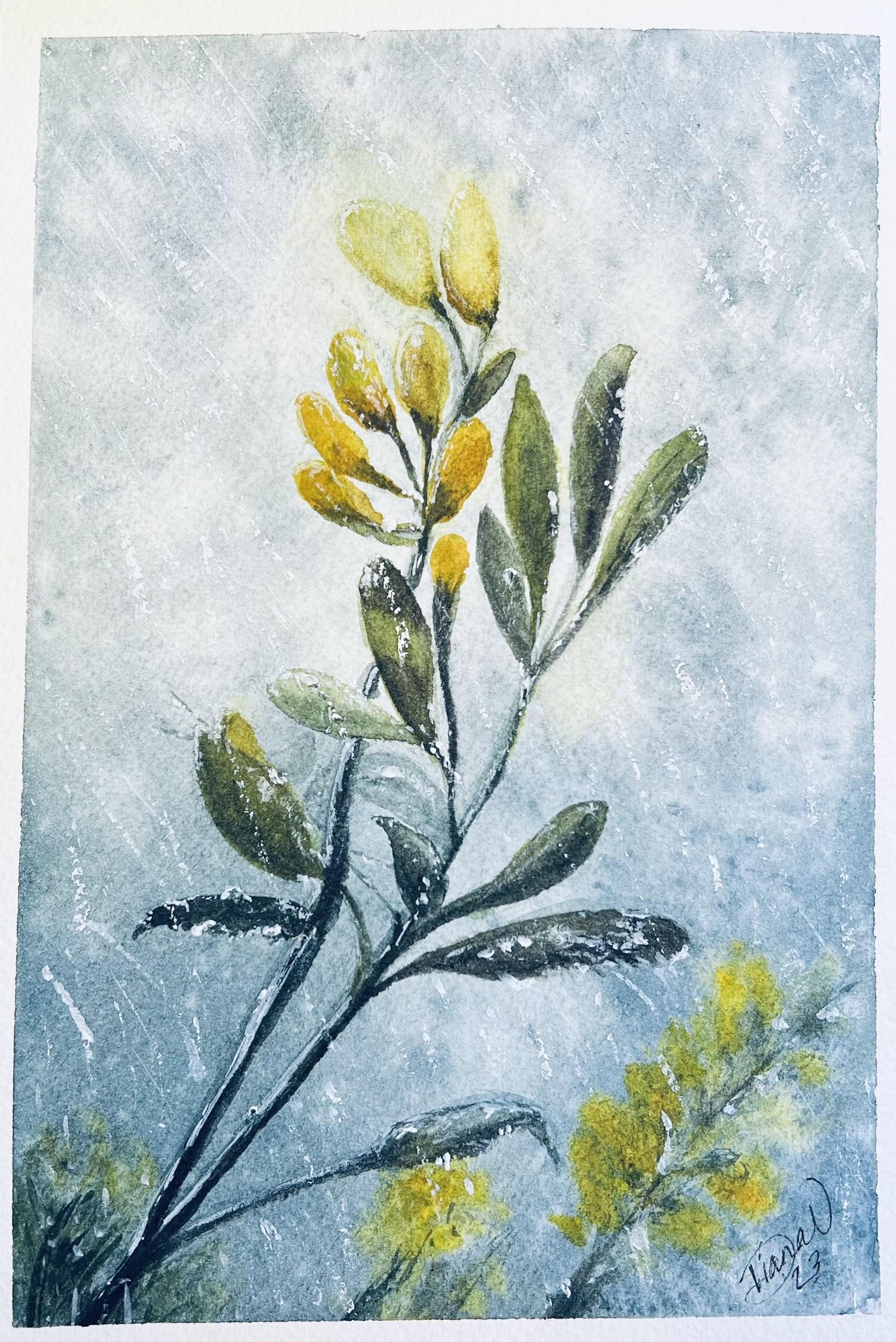 Rainy day in the flower fields - image 1 - student project