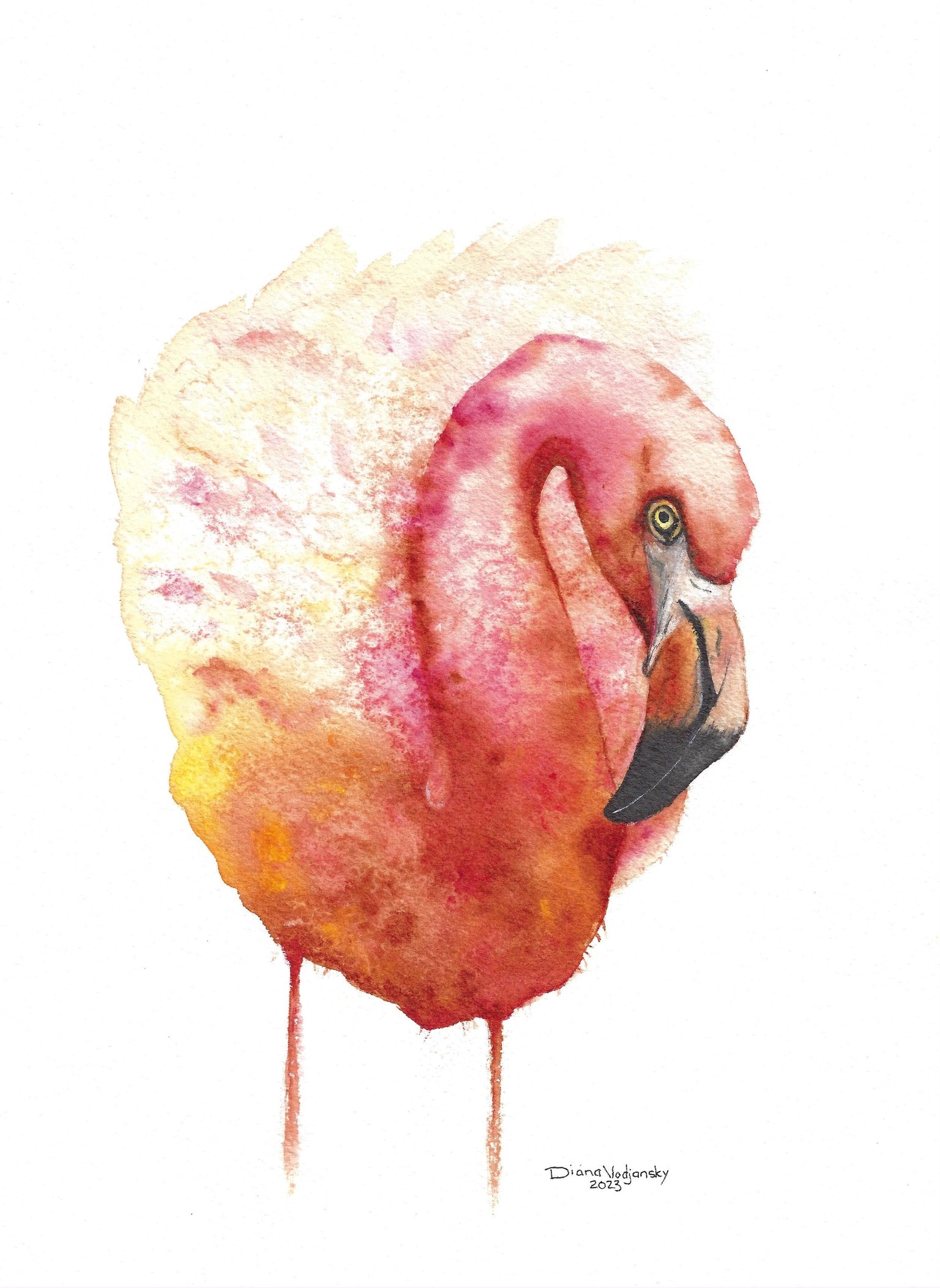 Pink Flamingo - image 1 - student project