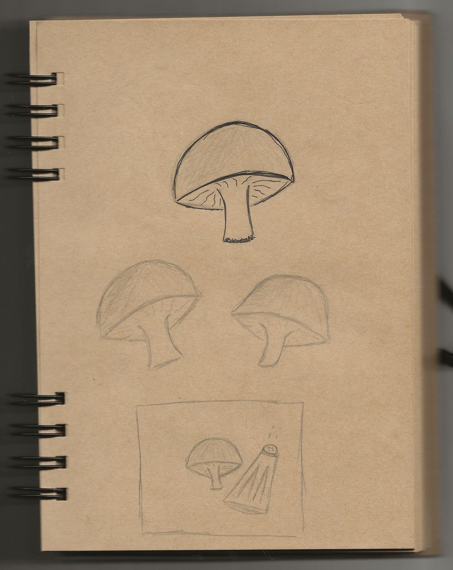 Shroom, Salt & Pepp's - image 1 - student project