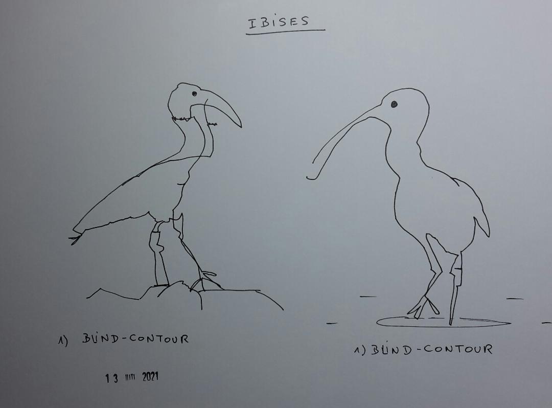 Line drawing: A 5day bootcamp - image 11 - student project