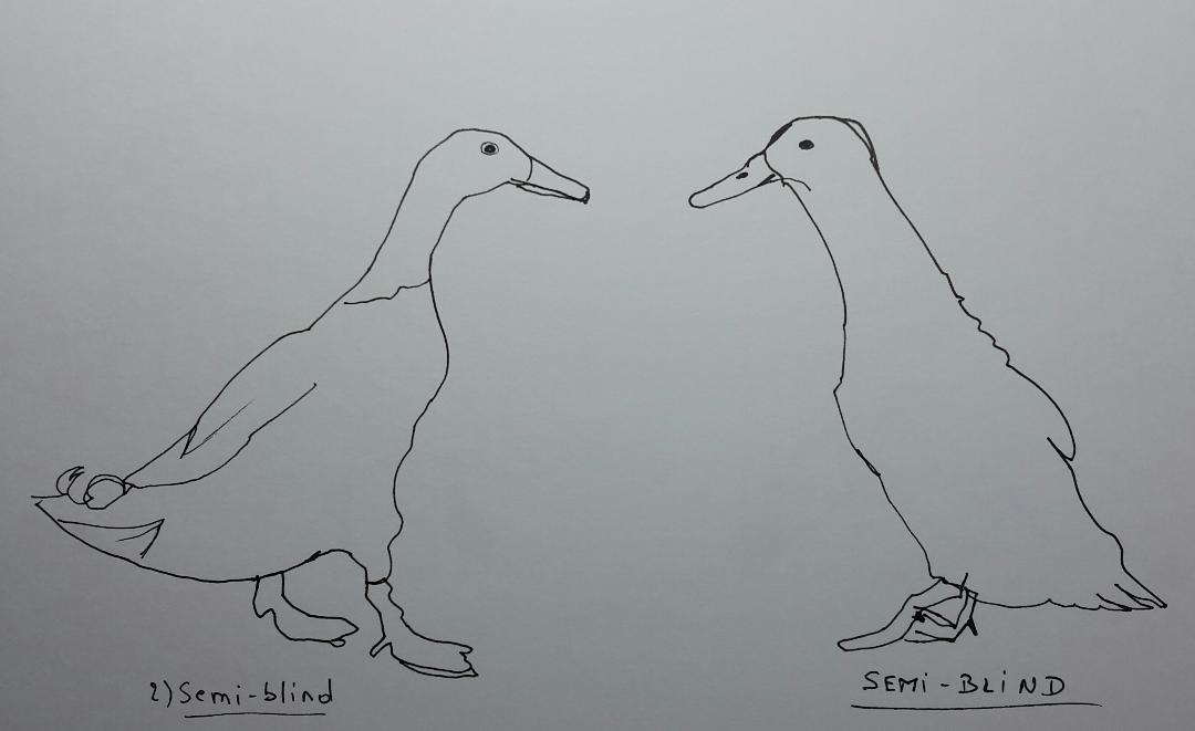 Line drawing: A 5day bootcamp - image 9 - student project