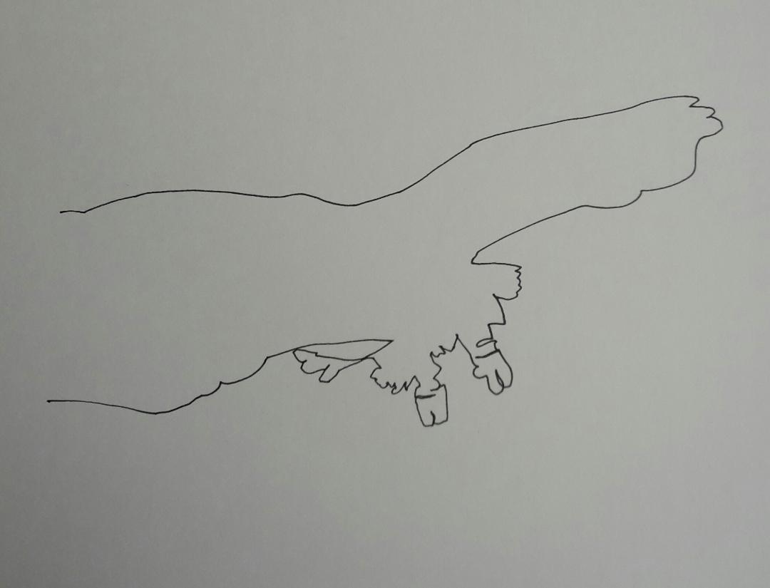 Line drawing: A 5day bootcamp - image 6 - student project