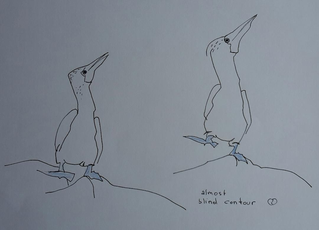 Line drawing: A 5day bootcamp - image 21 - student project