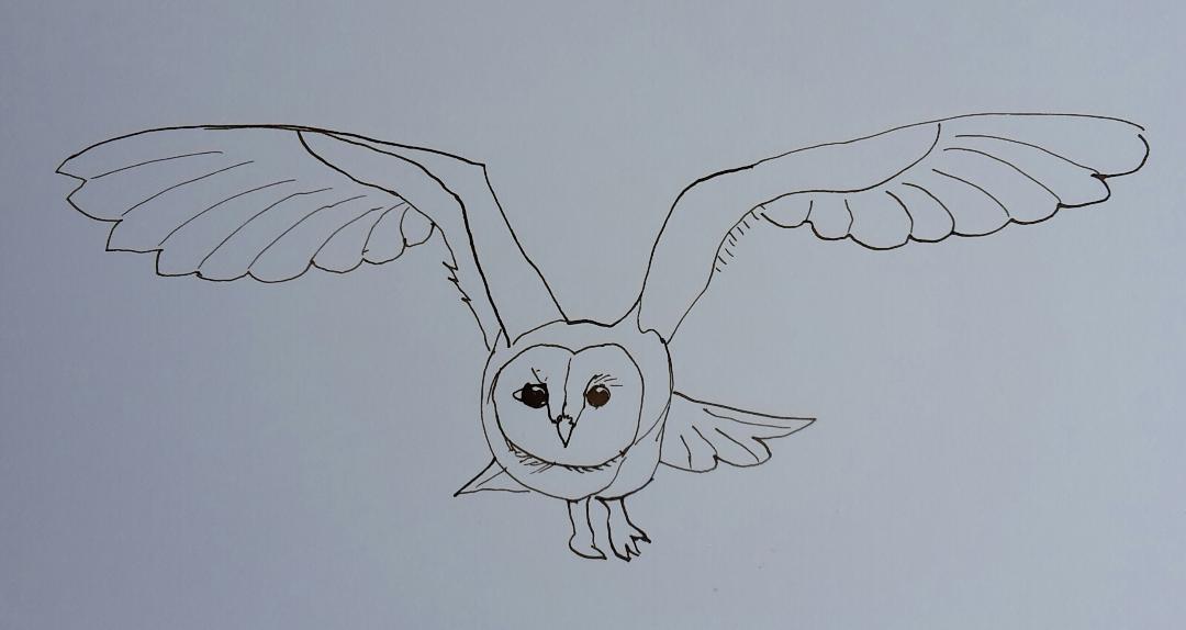 Line drawing: A 5day bootcamp - image 3 - student project