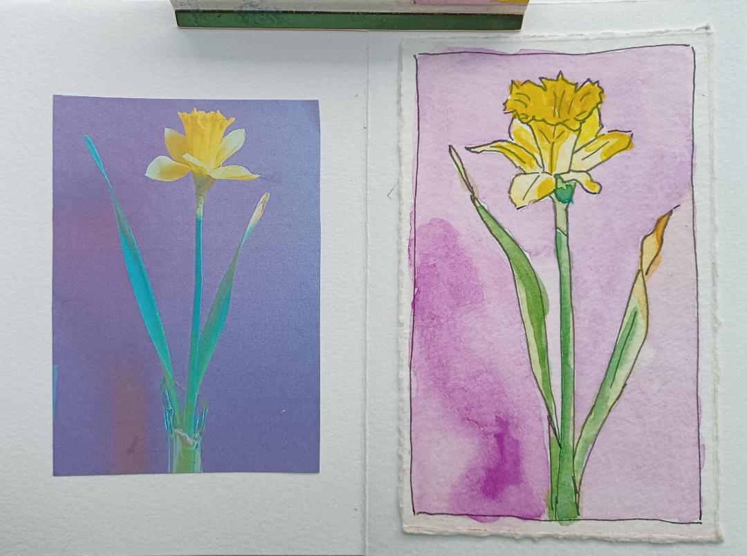 Colour mapping with Chris Carter - image 4 - student project