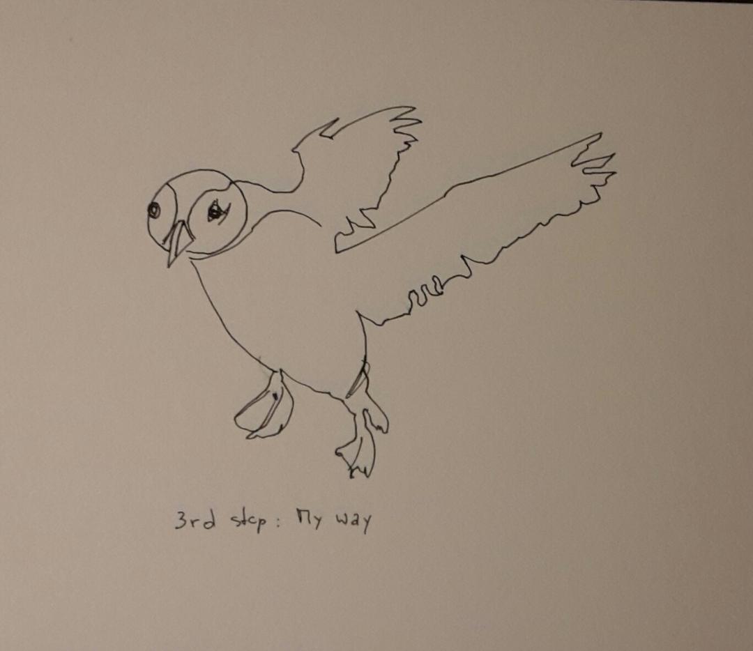 Line drawing: A 5day bootcamp - image 18 - student project