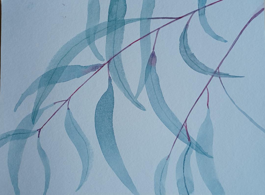 Principles of watercolour with Catherine J. Charnock - image 2 - student project