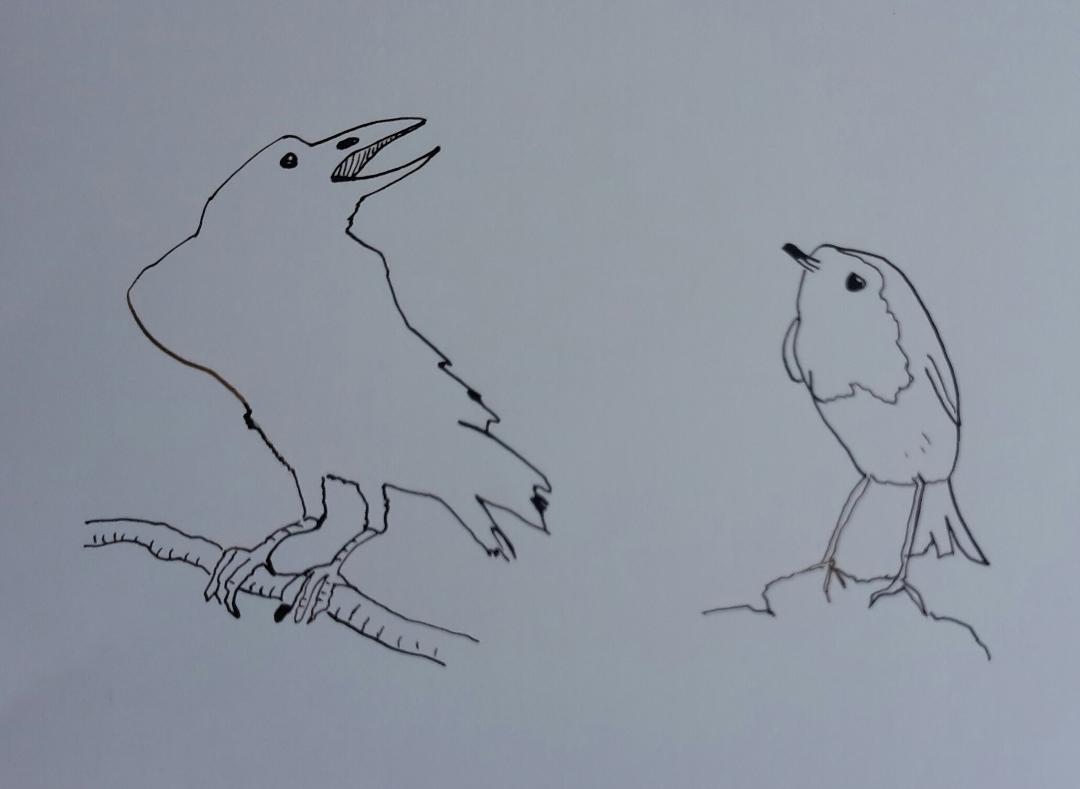 Line drawing: A 5day bootcamp - image 1 - student project