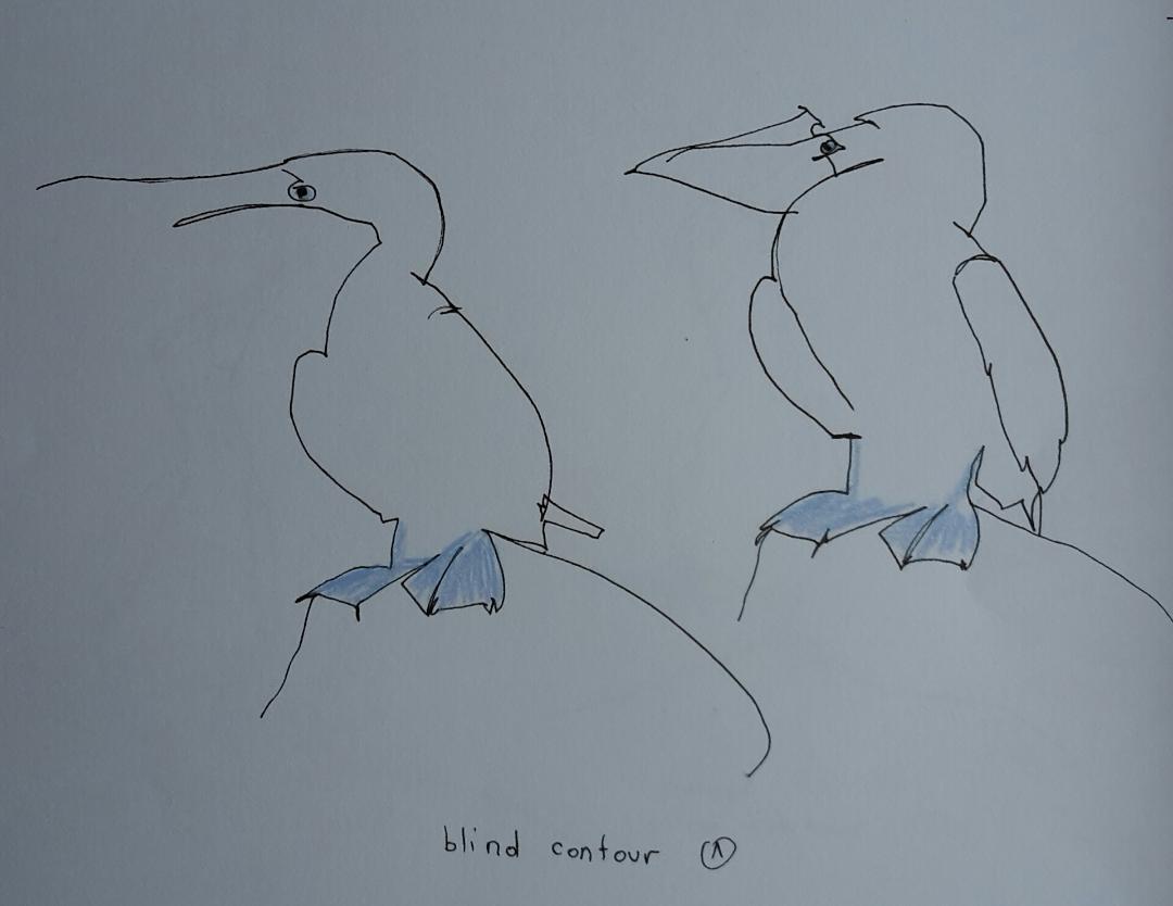 Line drawing: A 5day bootcamp - image 22 - student project