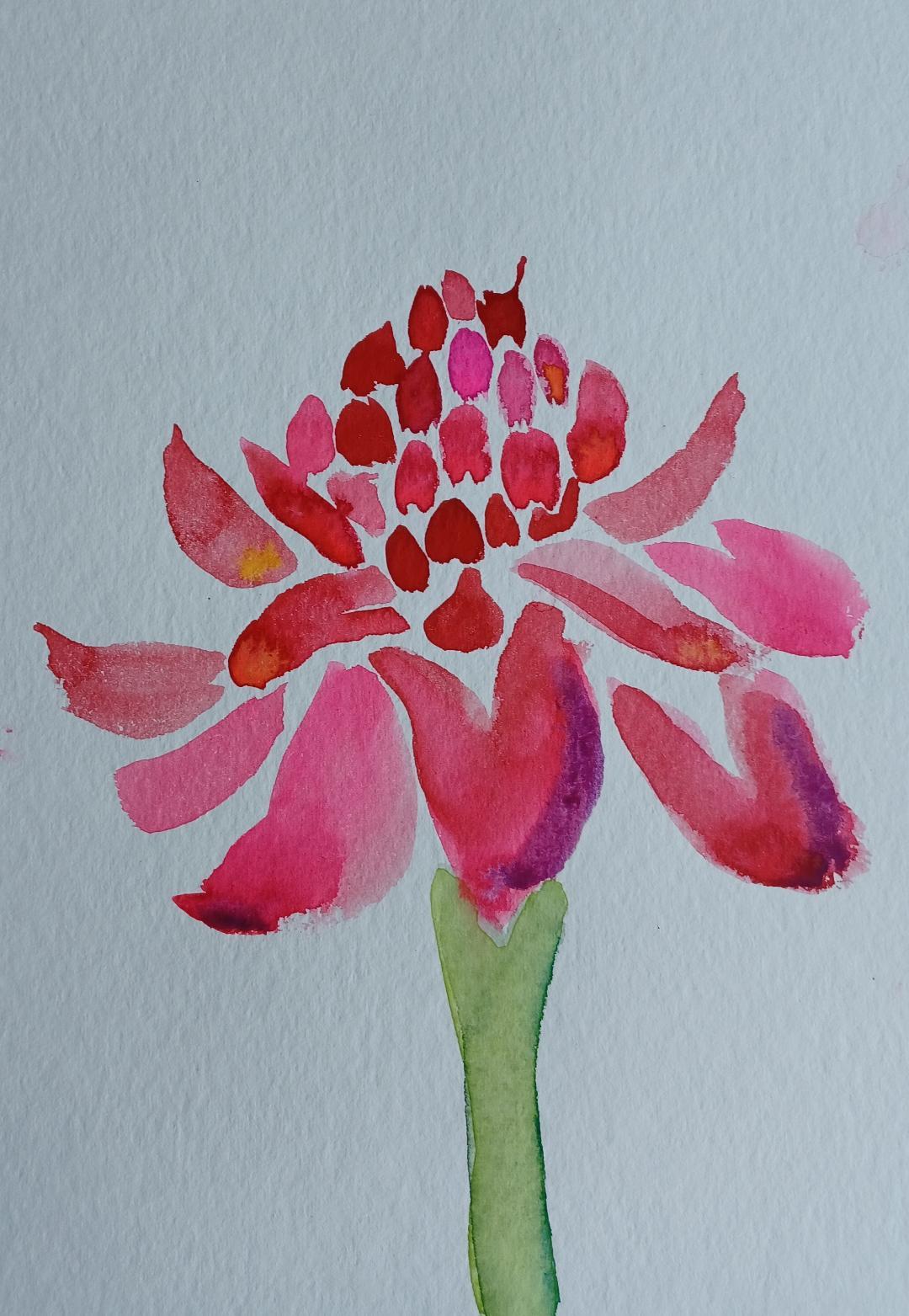 Principles of watercolour with Catherine J. Charnock - image 6 - student project