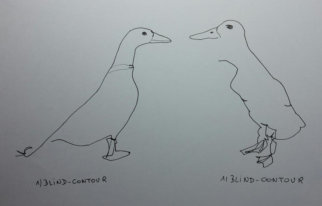 Line drawing: A 5day bootcamp - image 8 - student project