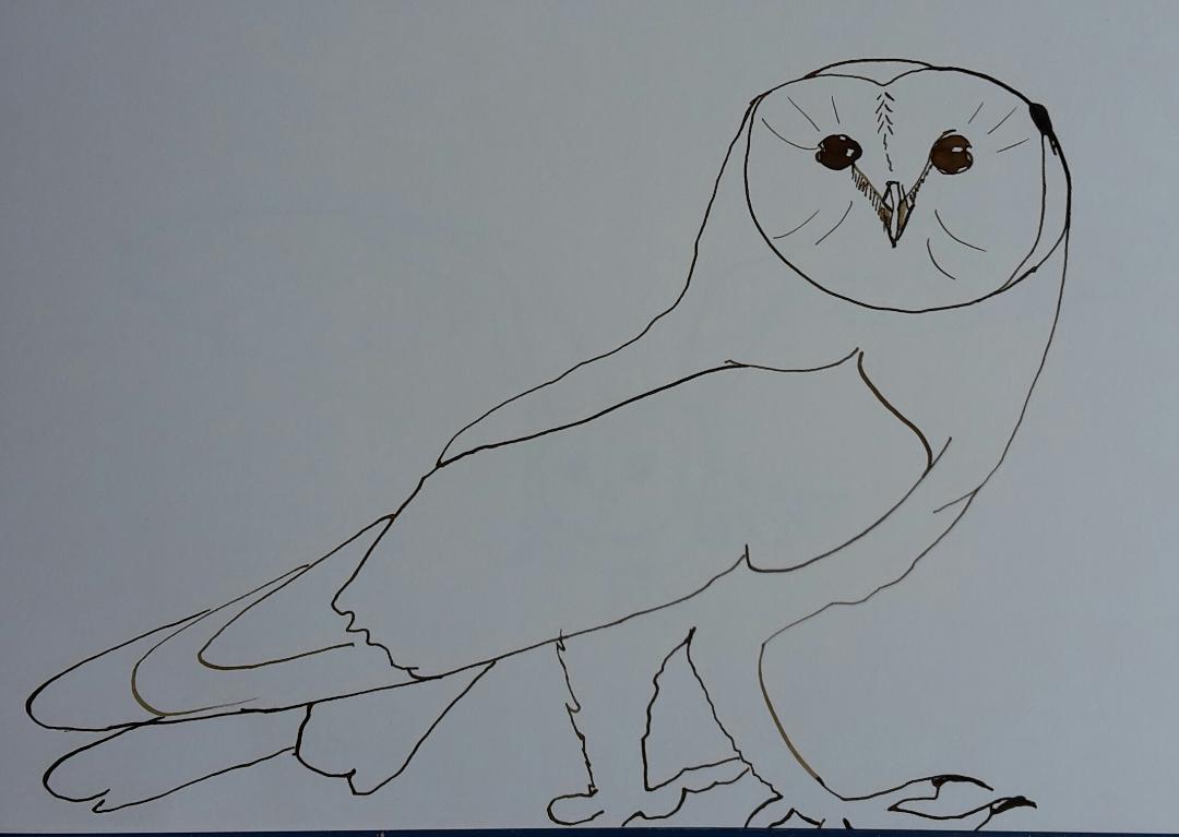 Line drawing: A 5day bootcamp - image 2 - student project