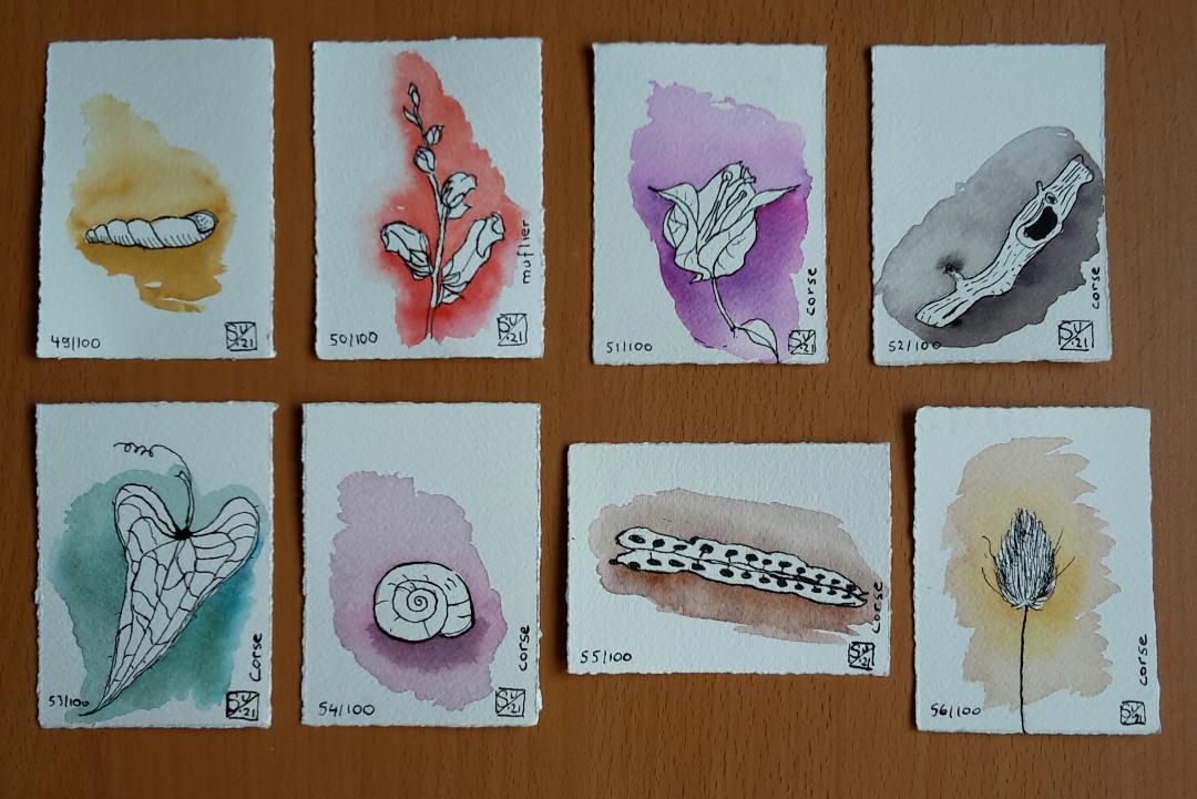 100 watercolor splashes and pen and ink drawings - image 6 - student project