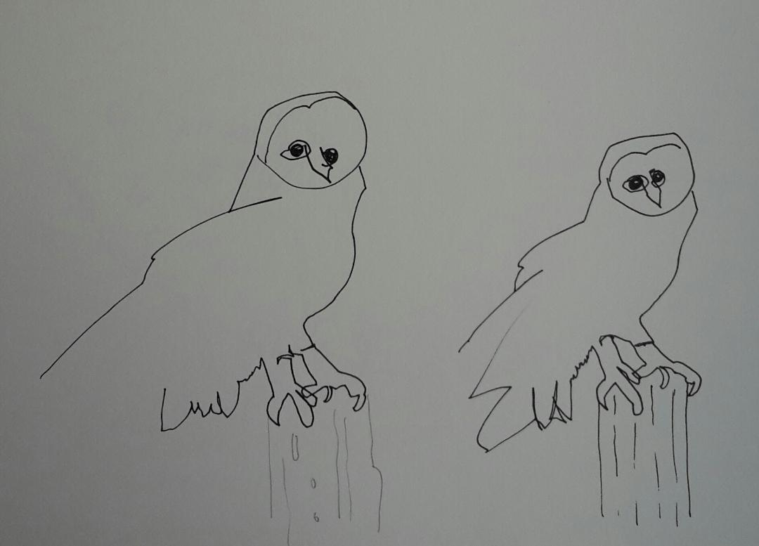 Line drawing: A 5day bootcamp - image 4 - student project