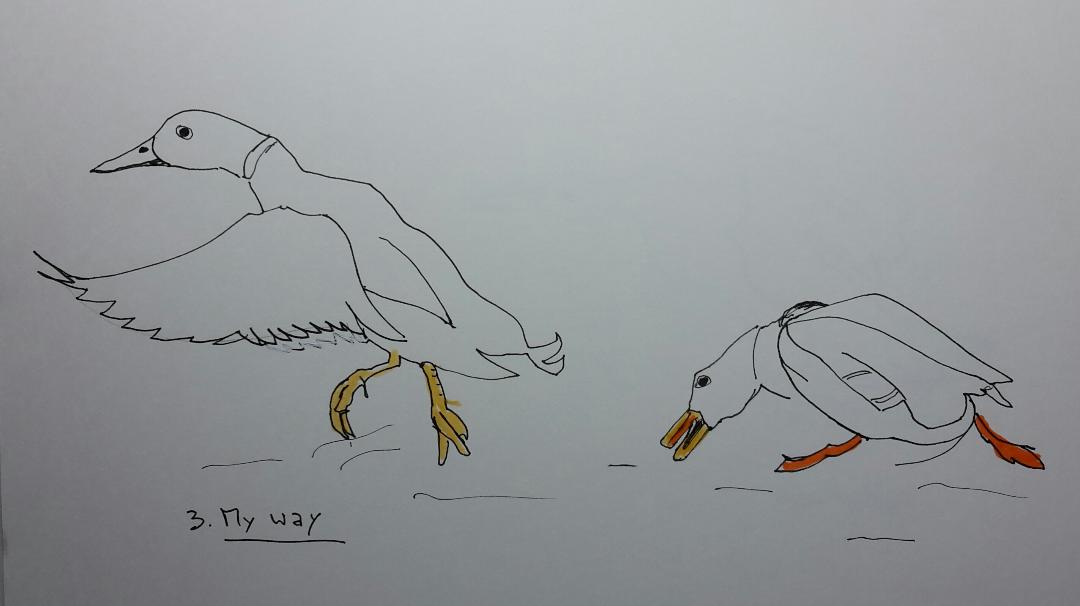 Line drawing: A 5day bootcamp - image 10 - student project