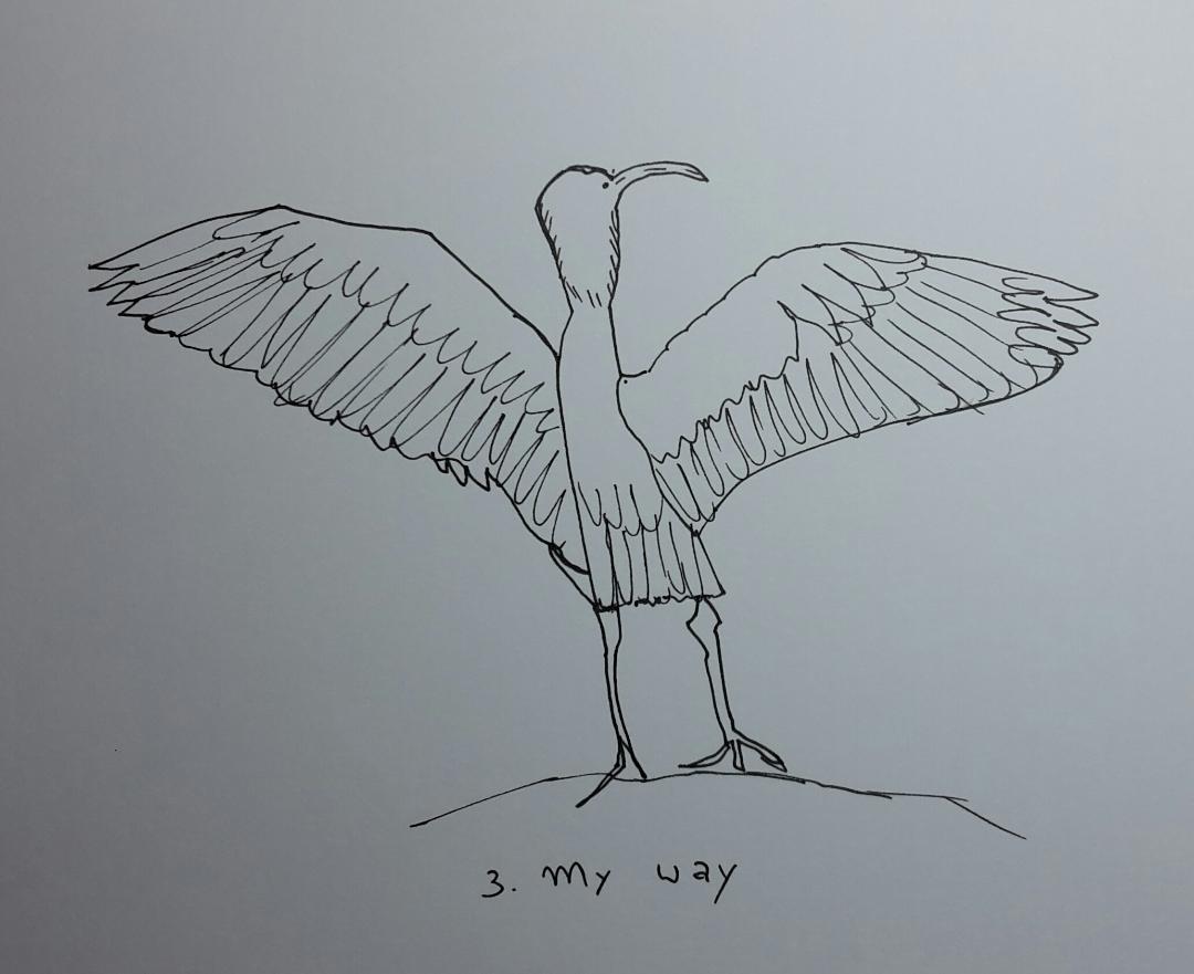 Line drawing: A 5day bootcamp - image 13 - student project