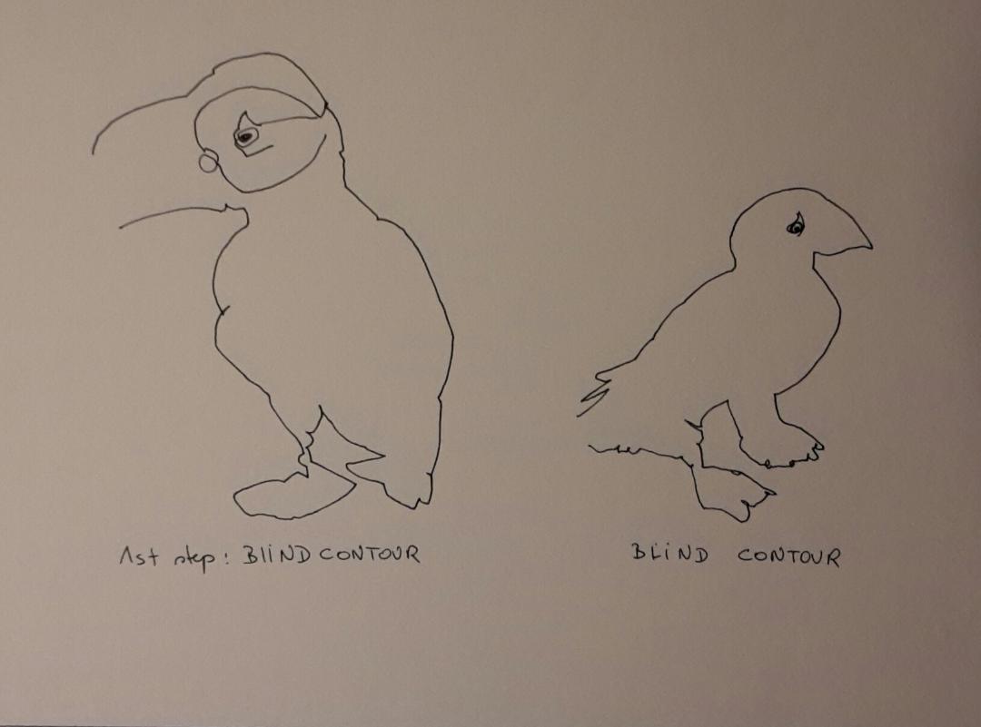 Line drawing: A 5day bootcamp - image 16 - student project