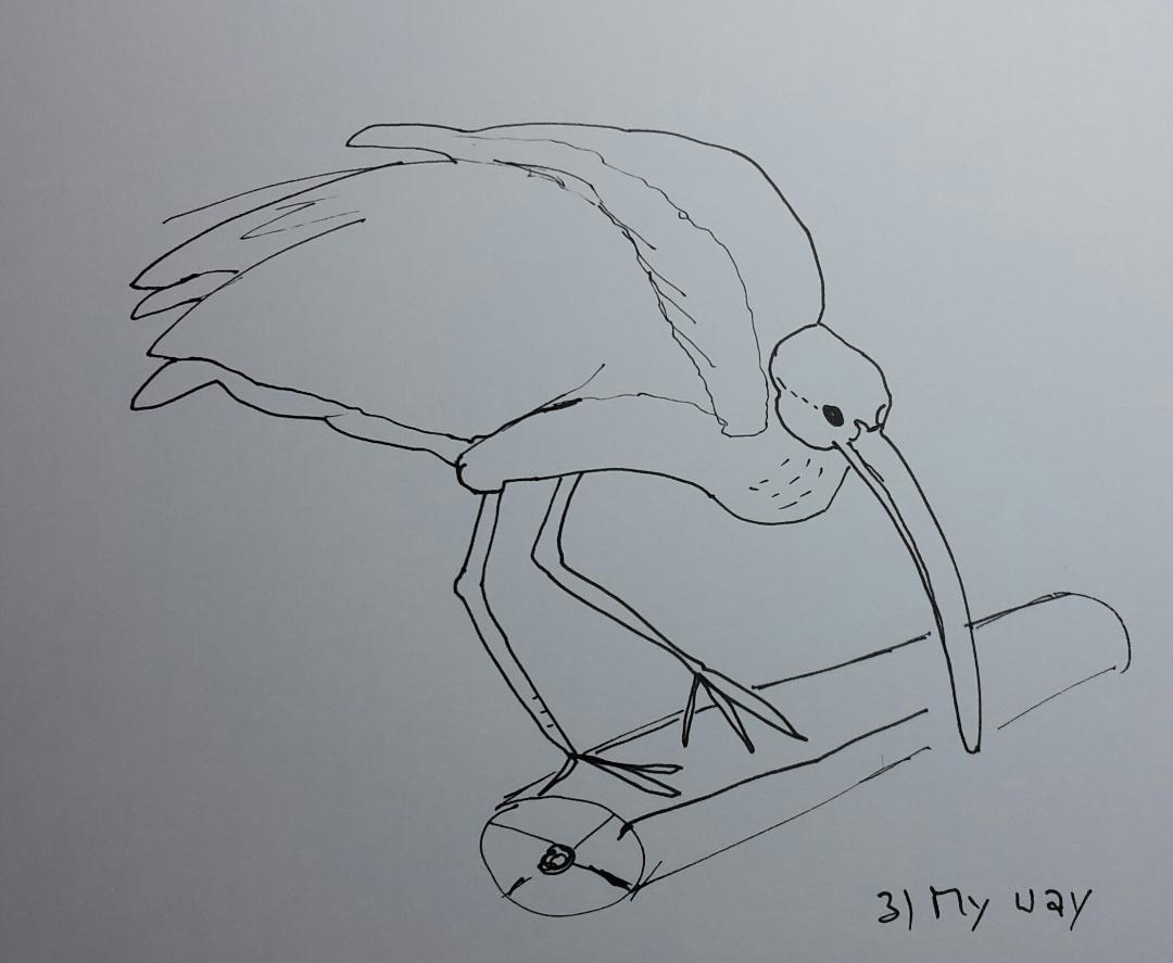 Line drawing: A 5day bootcamp - image 15 - student project