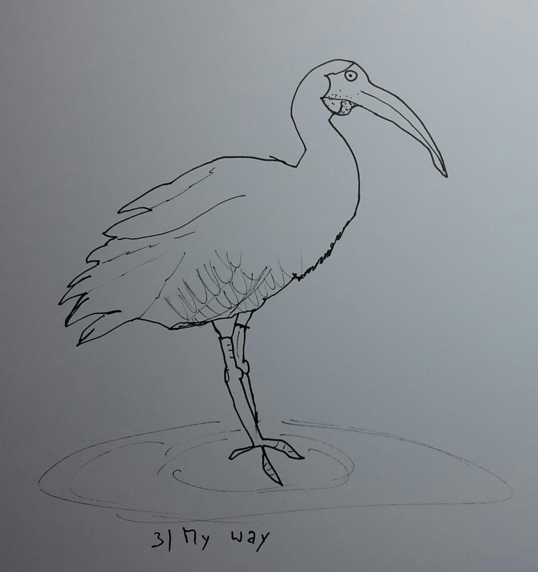 Line drawing: A 5day bootcamp - image 14 - student project