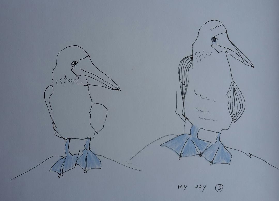Line drawing: A 5day bootcamp - image 20 - student project