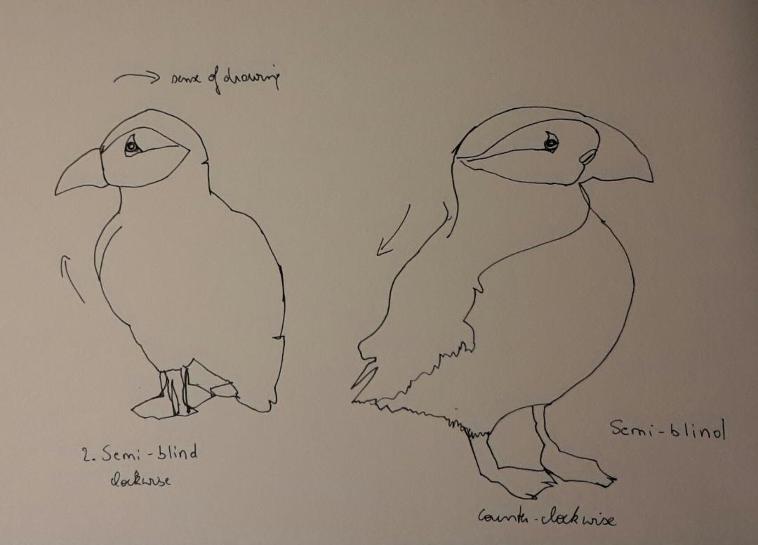 Line drawing: A 5day bootcamp - image 17 - student project