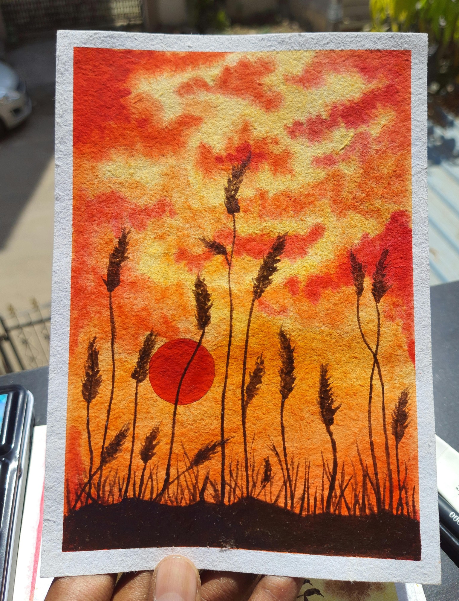Wildplant Sunset Series - image 6 - student project