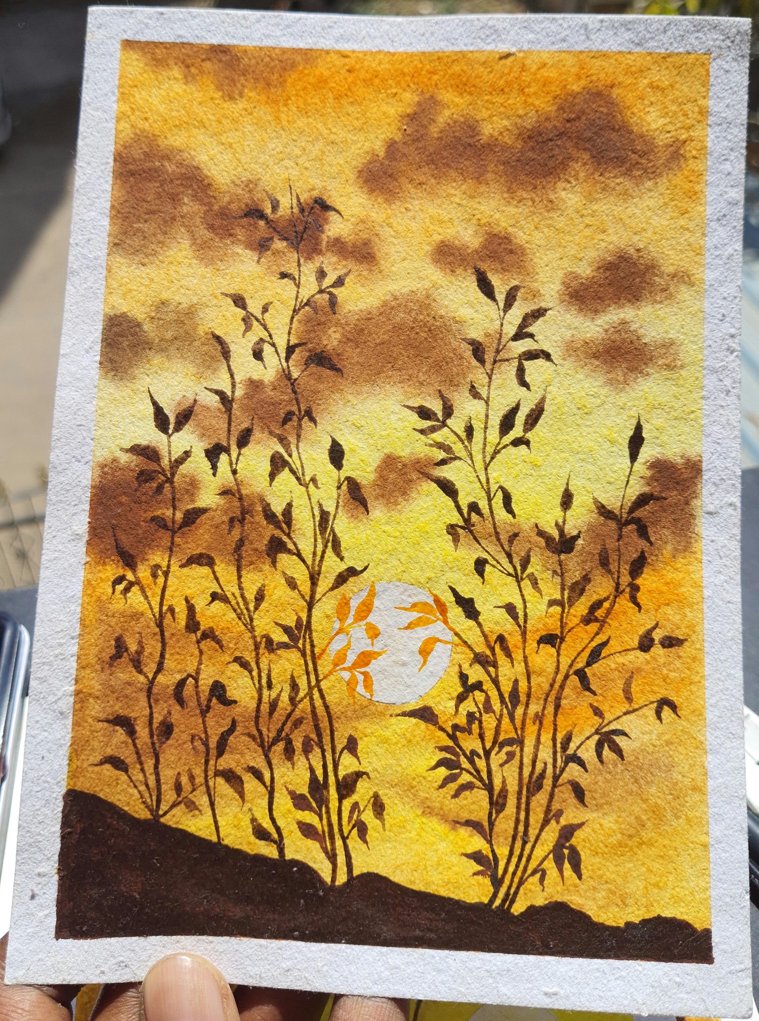 Wildplant Sunset Series - image 1 - student project