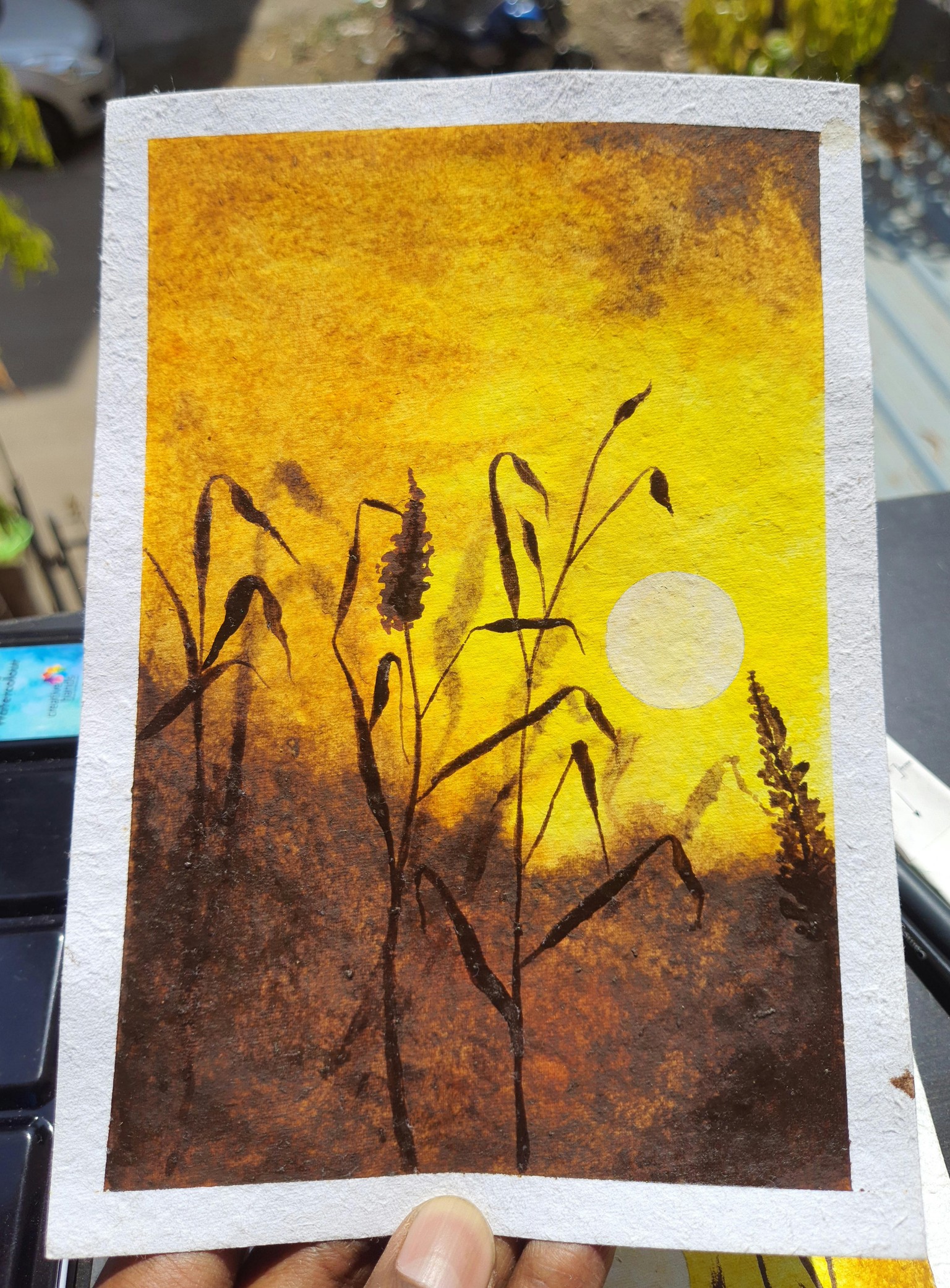 Wildplant Sunset Series - image 3 - student project