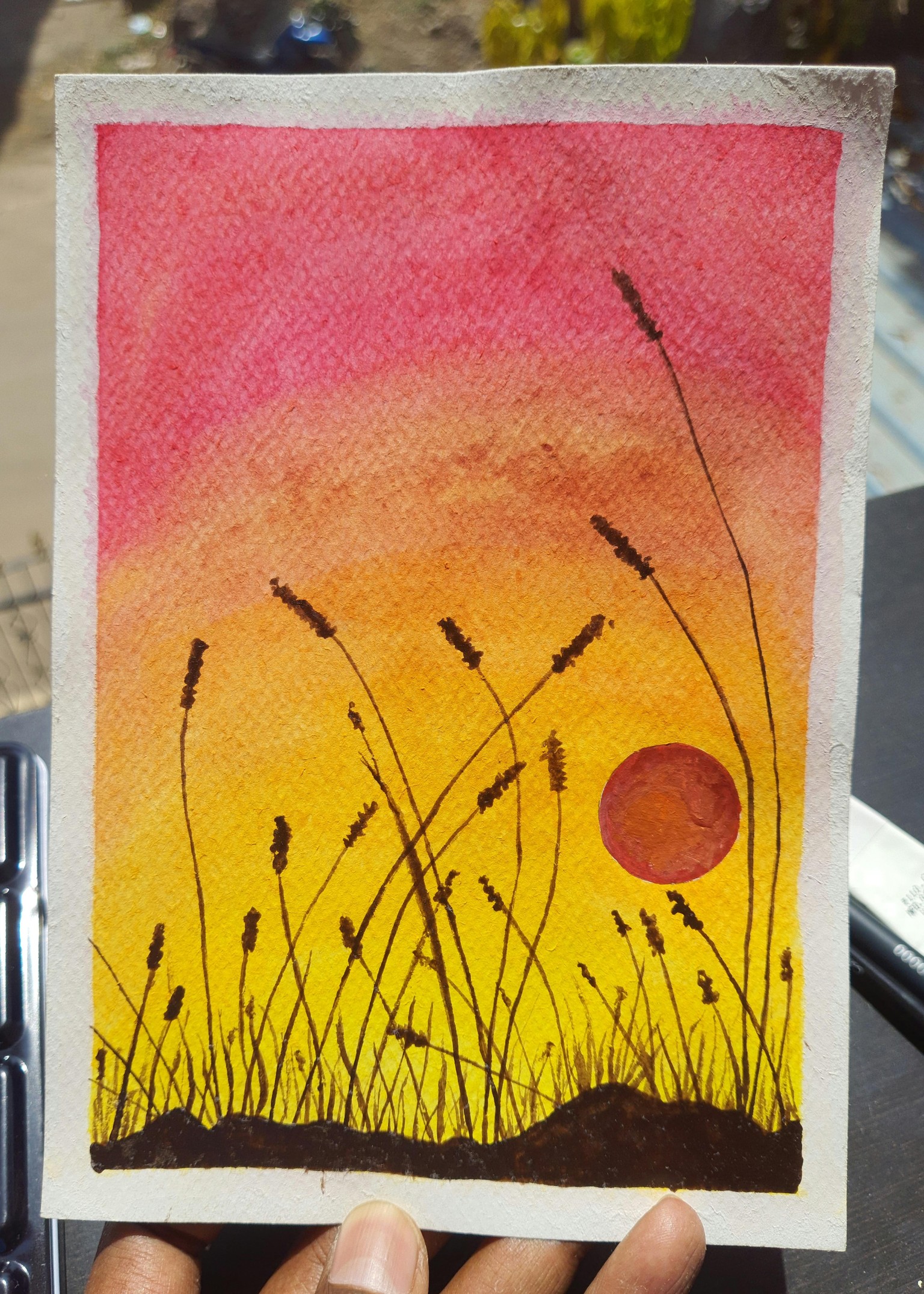 Wildplant Sunset Series - image 4 - student project