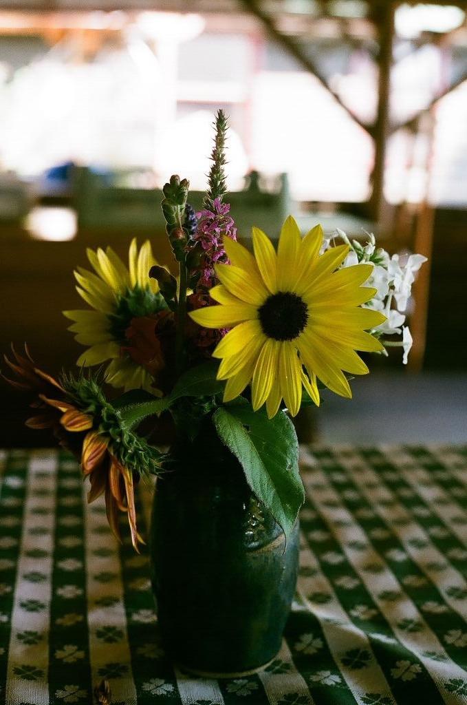 End of summer vacation in the Adirondacks - image 8 - student project
