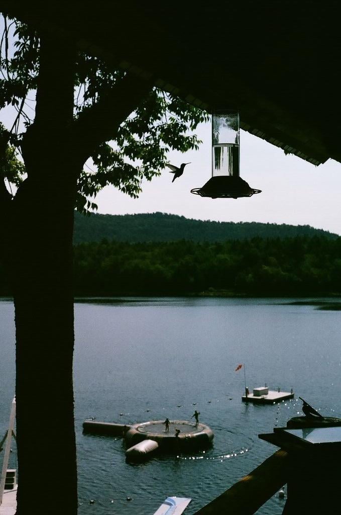 End of summer vacation in the Adirondacks - image 3 - student project