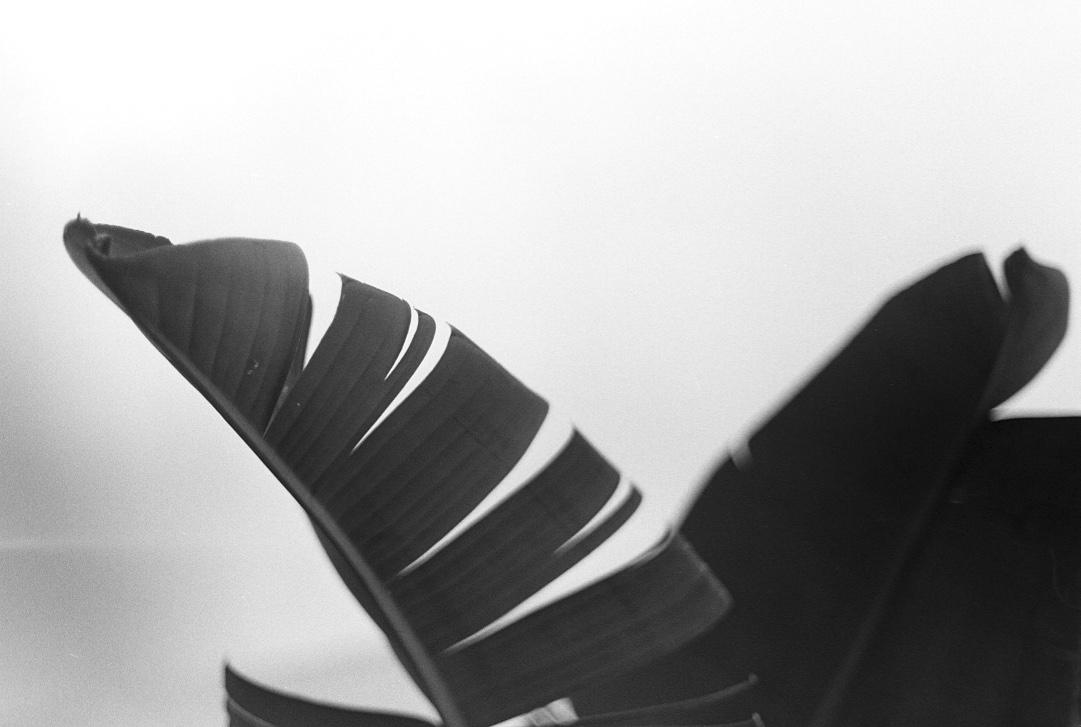 things  - image 12 - student project