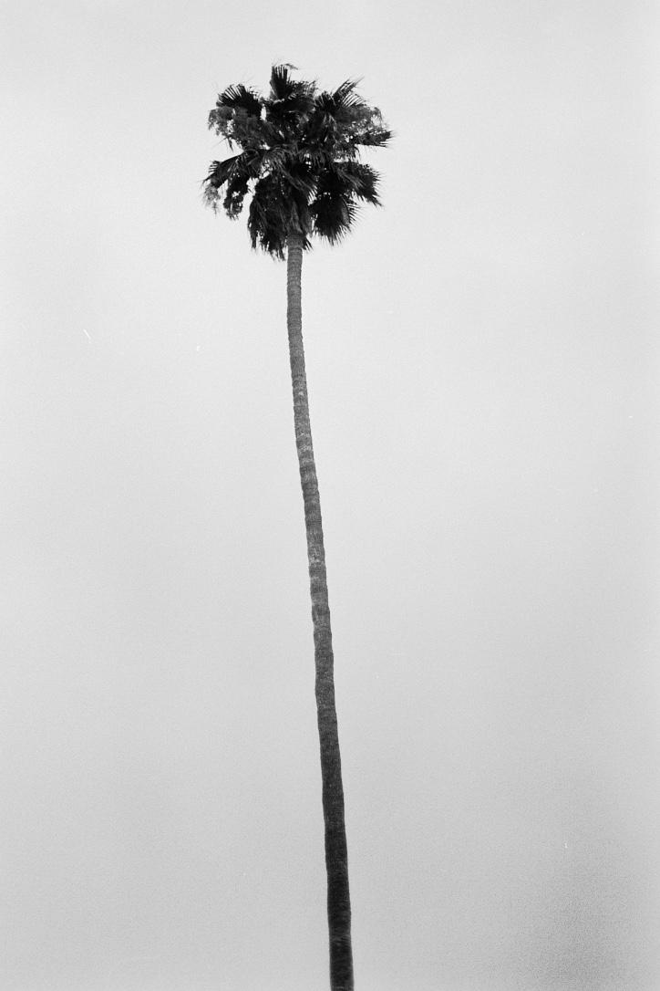 things  - image 8 - student project