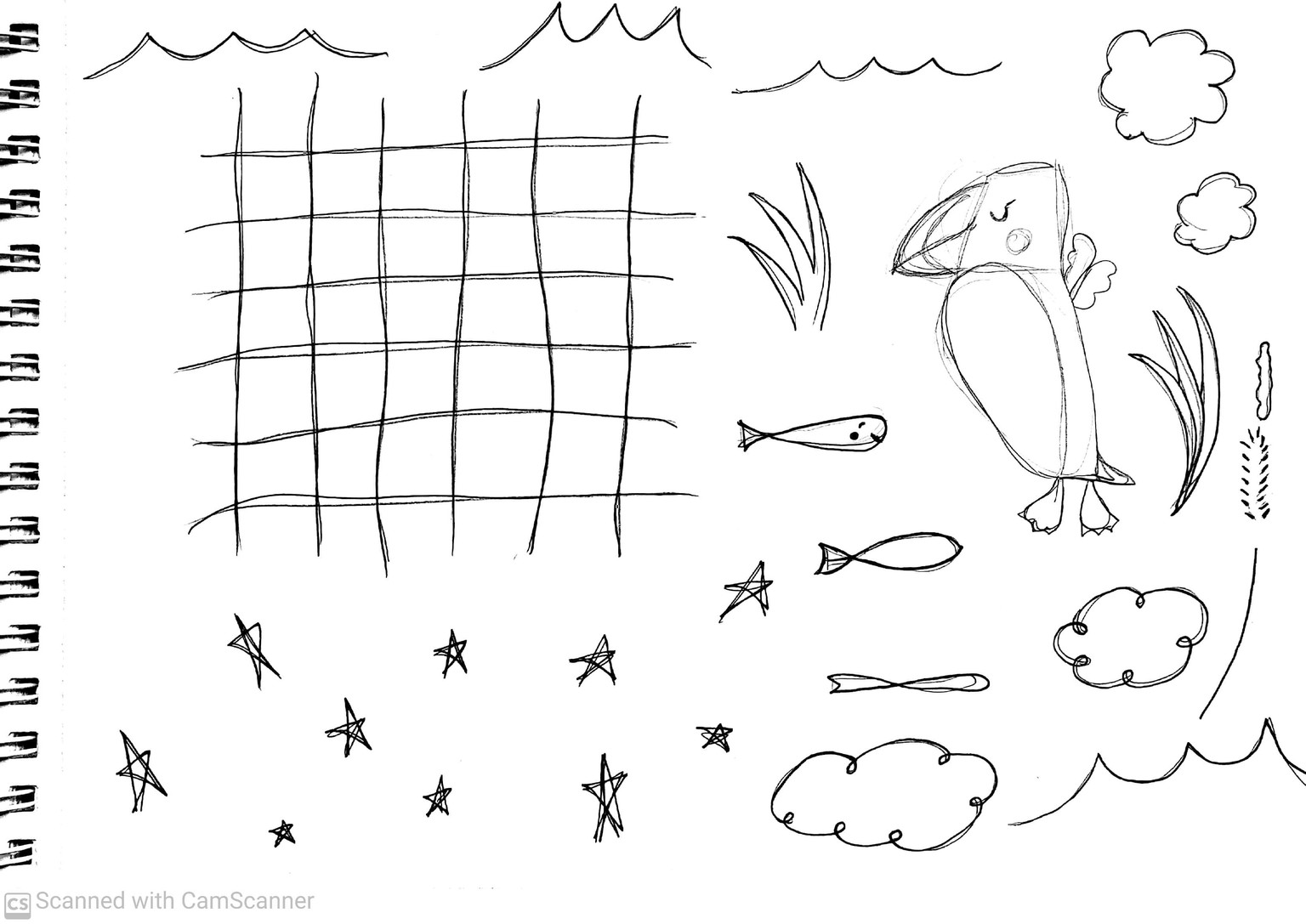 Puffin - image 3 - student project