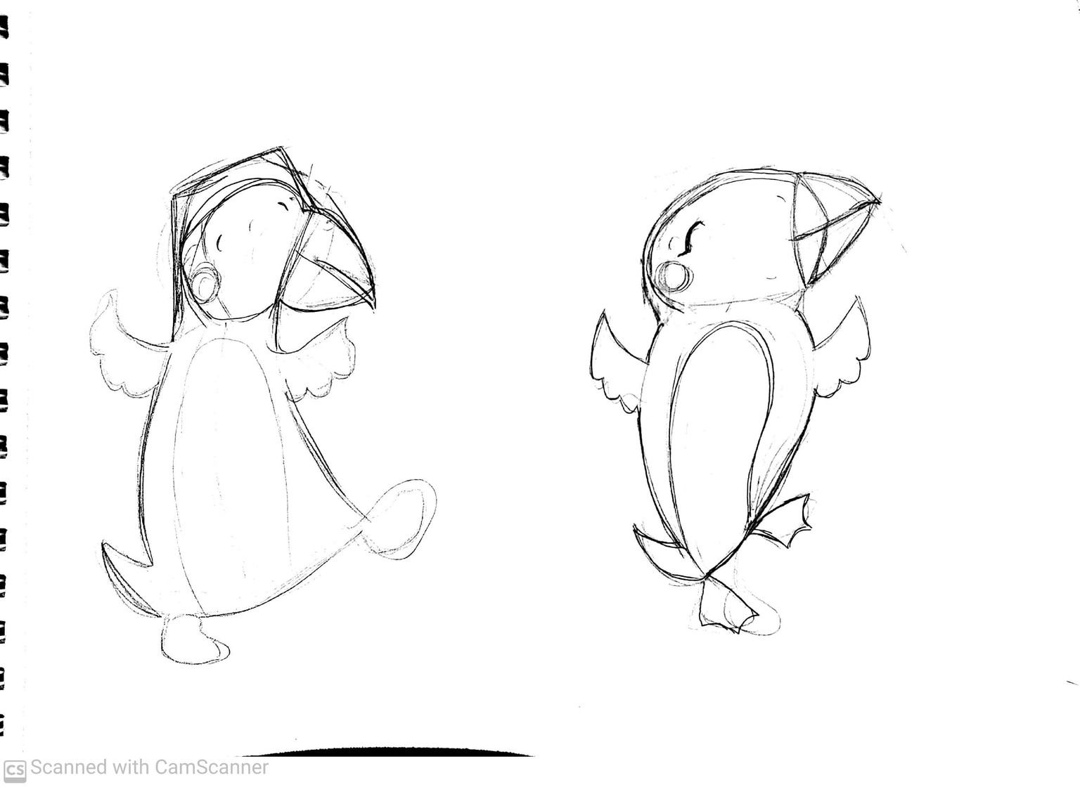 Puffin - image 4 - student project