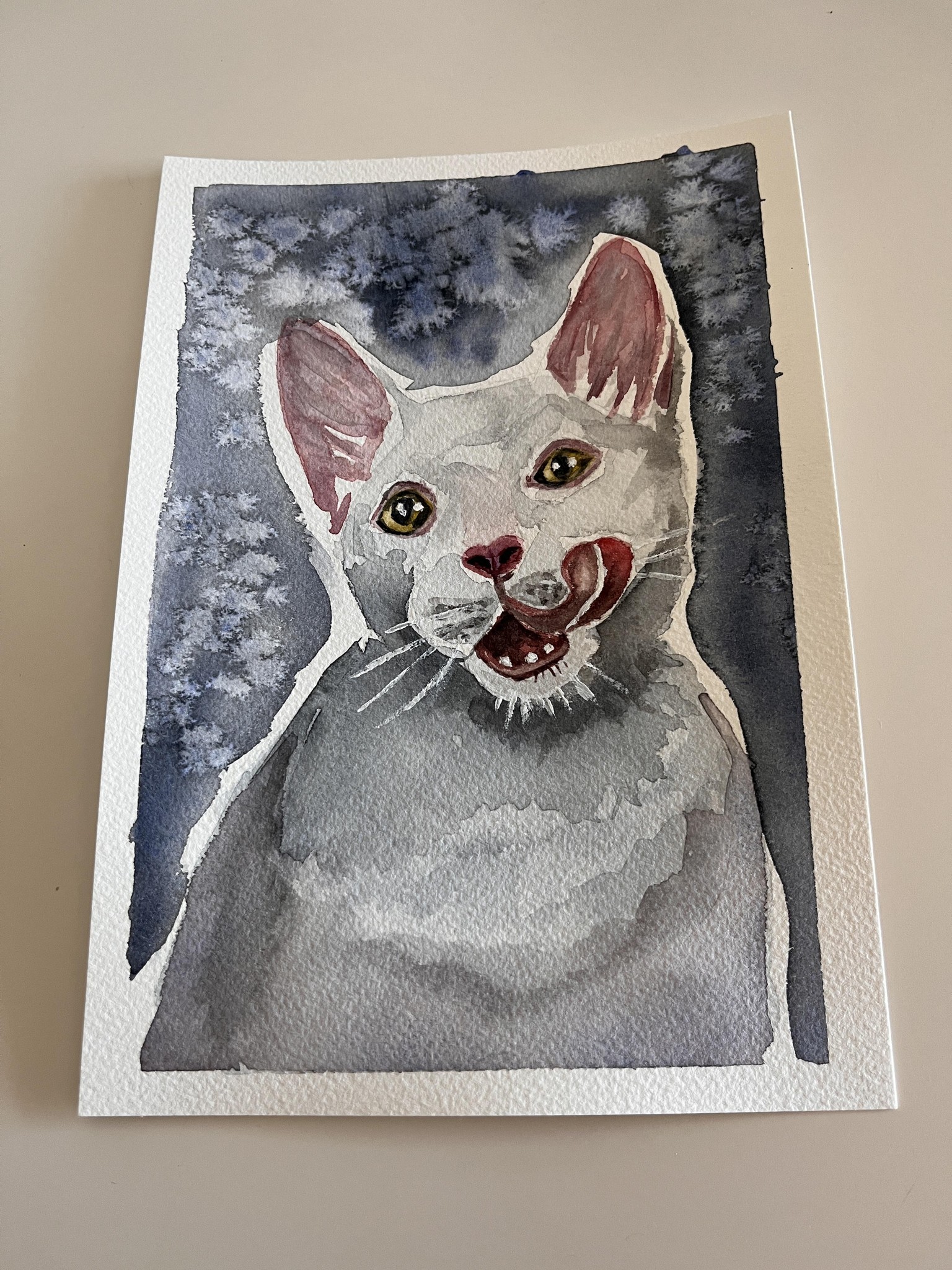 My first cat! - image 1 - student project