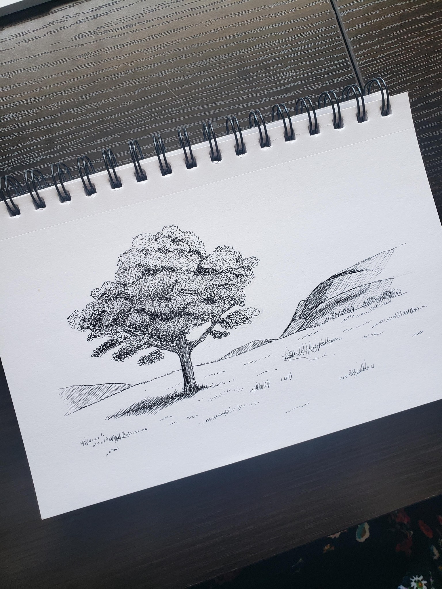 Ink Drawing - image 2 - student project