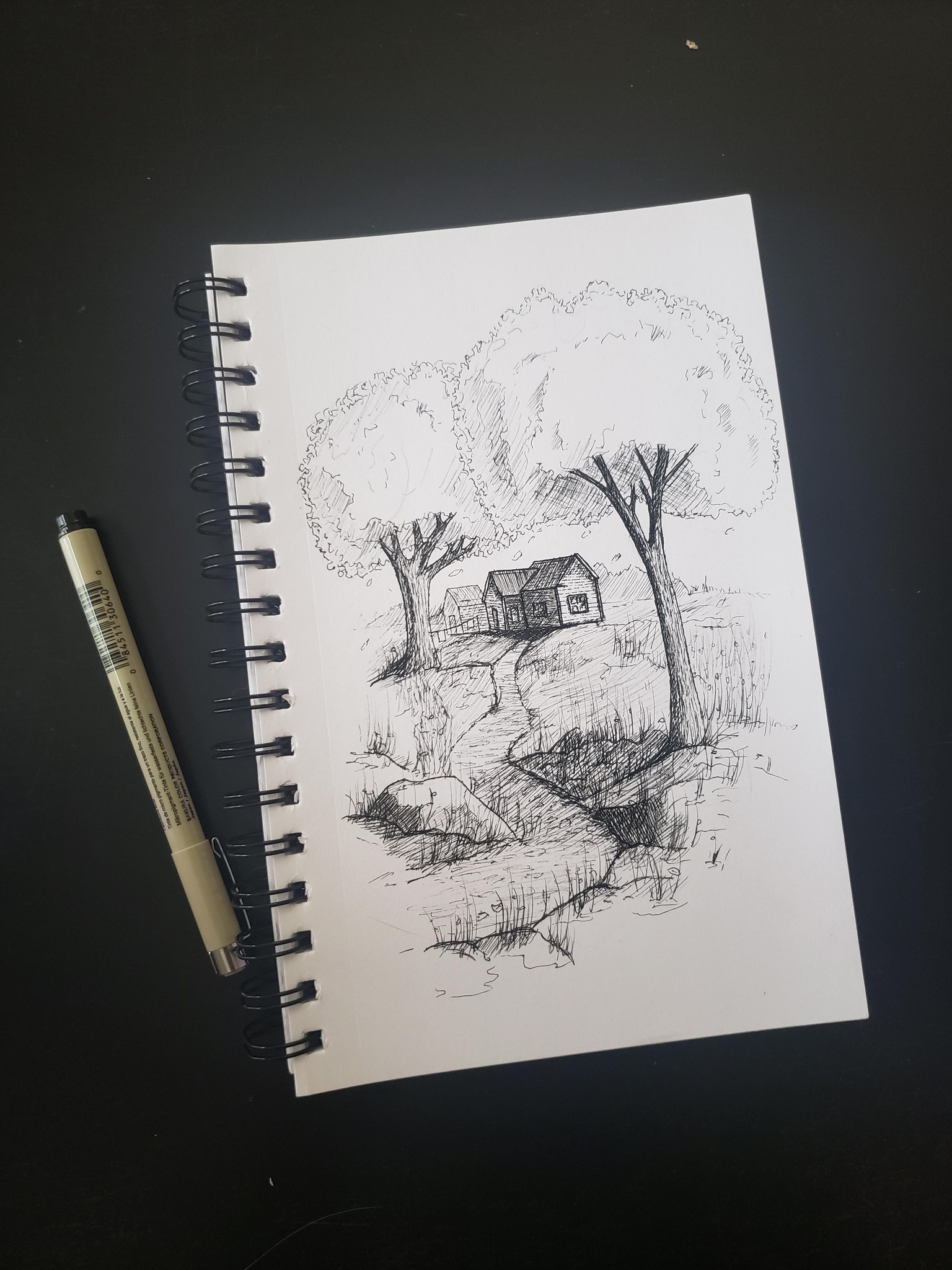 Ink Drawing - image 1 - student project