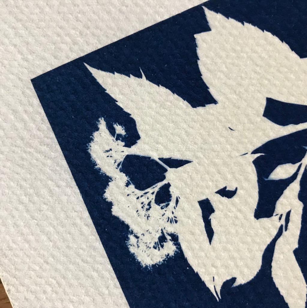 Cyanotype - image 2 - student project