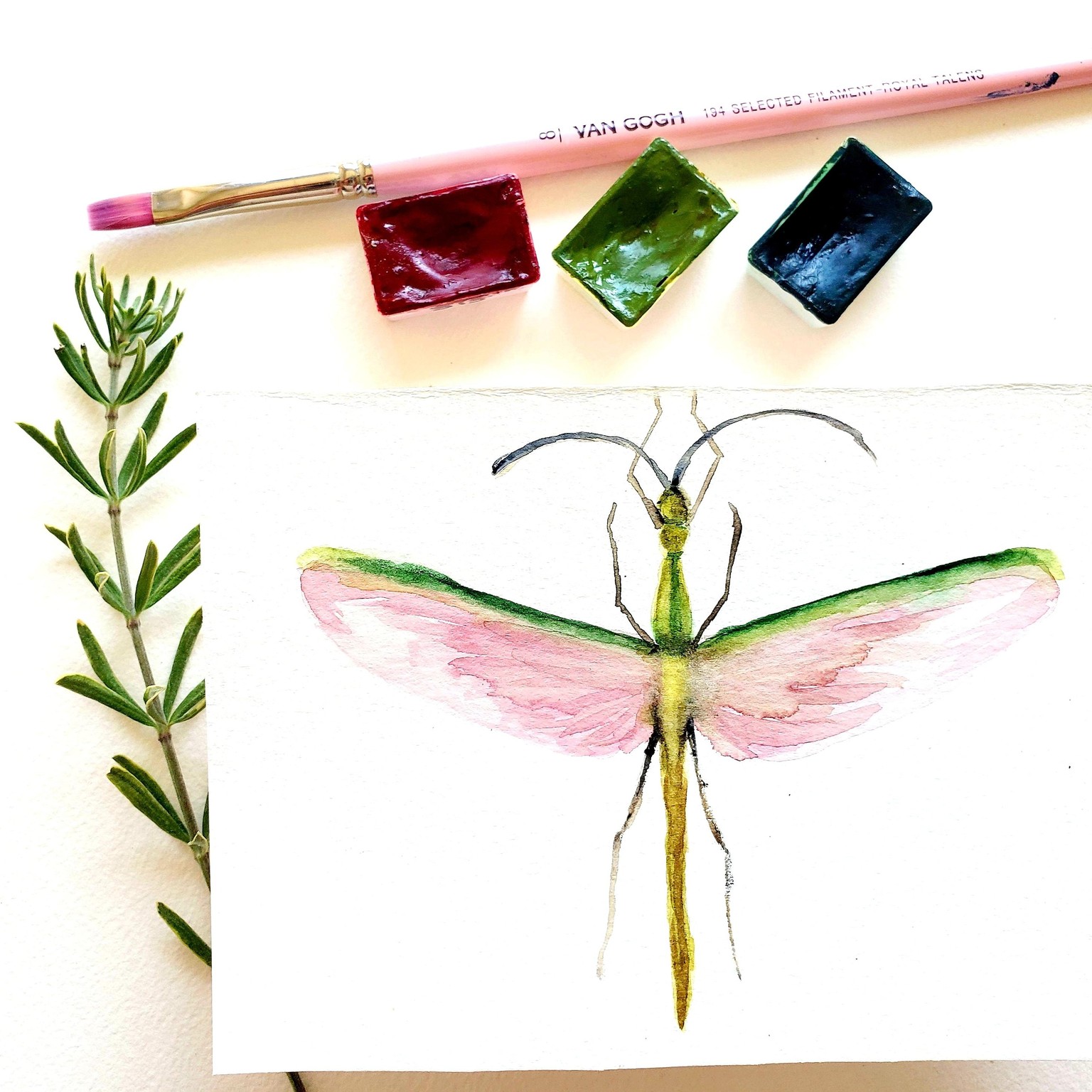 Watercolor art flatlays - image 2 - student project