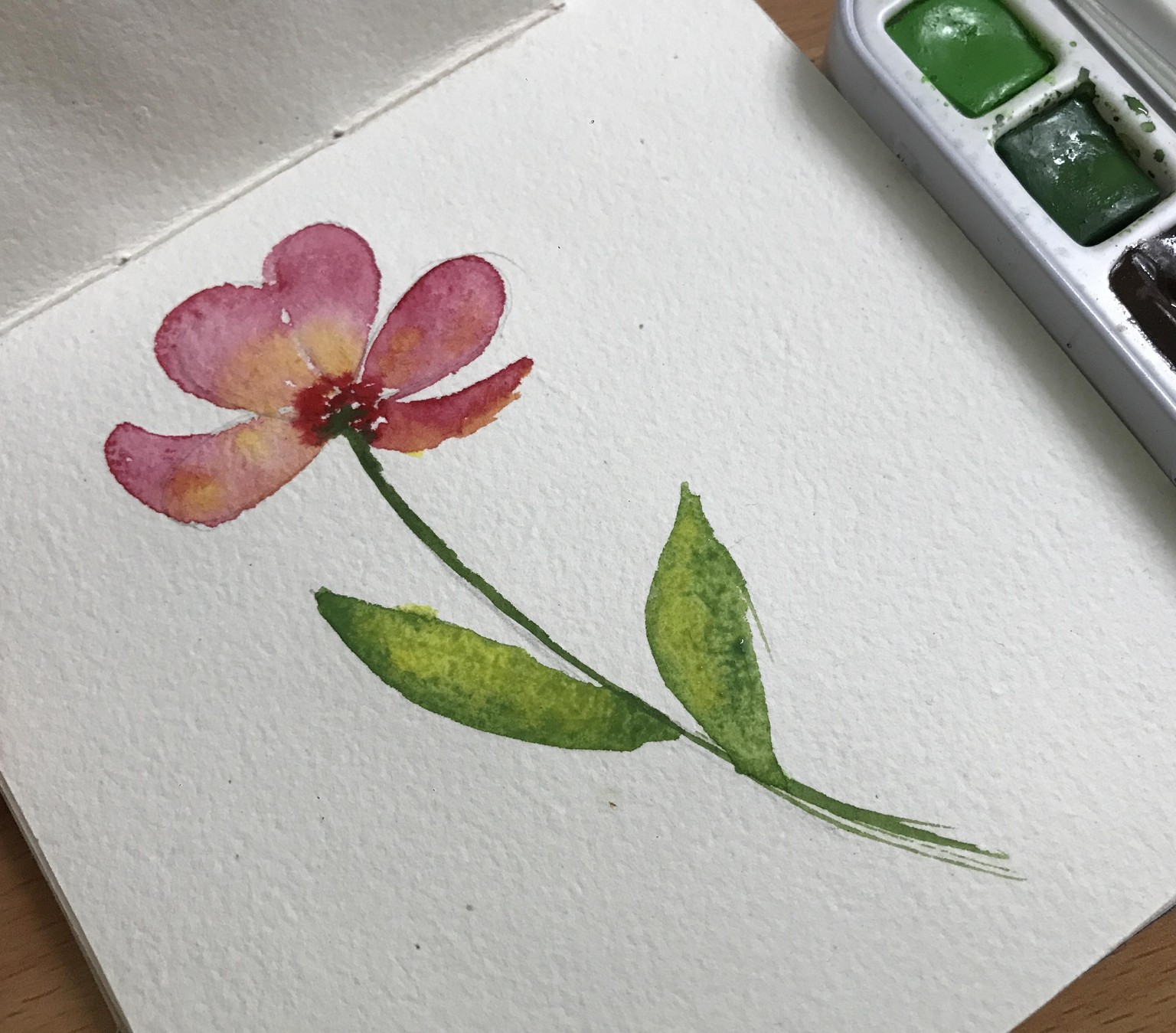 Watercolor Basics - image 4 - student project