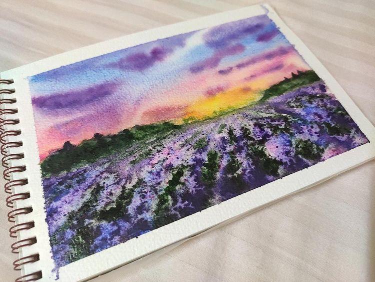 Lavender Fields - image 2 - student project